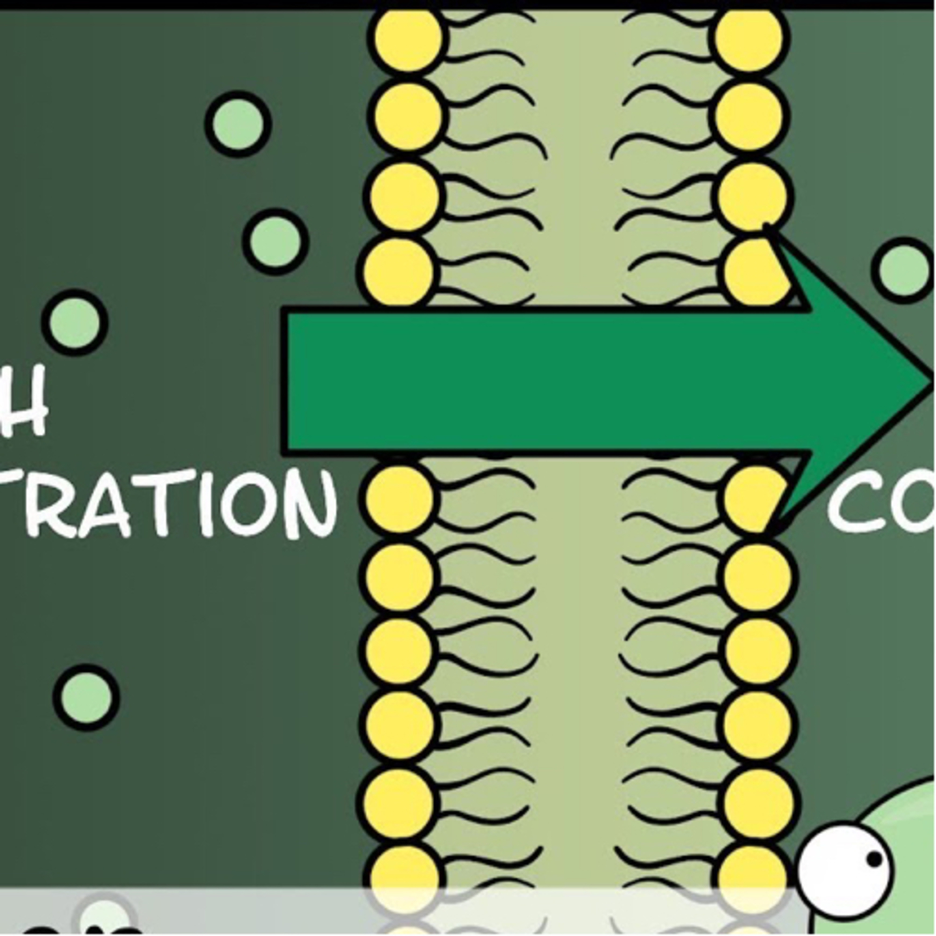 Biology lessons On Air