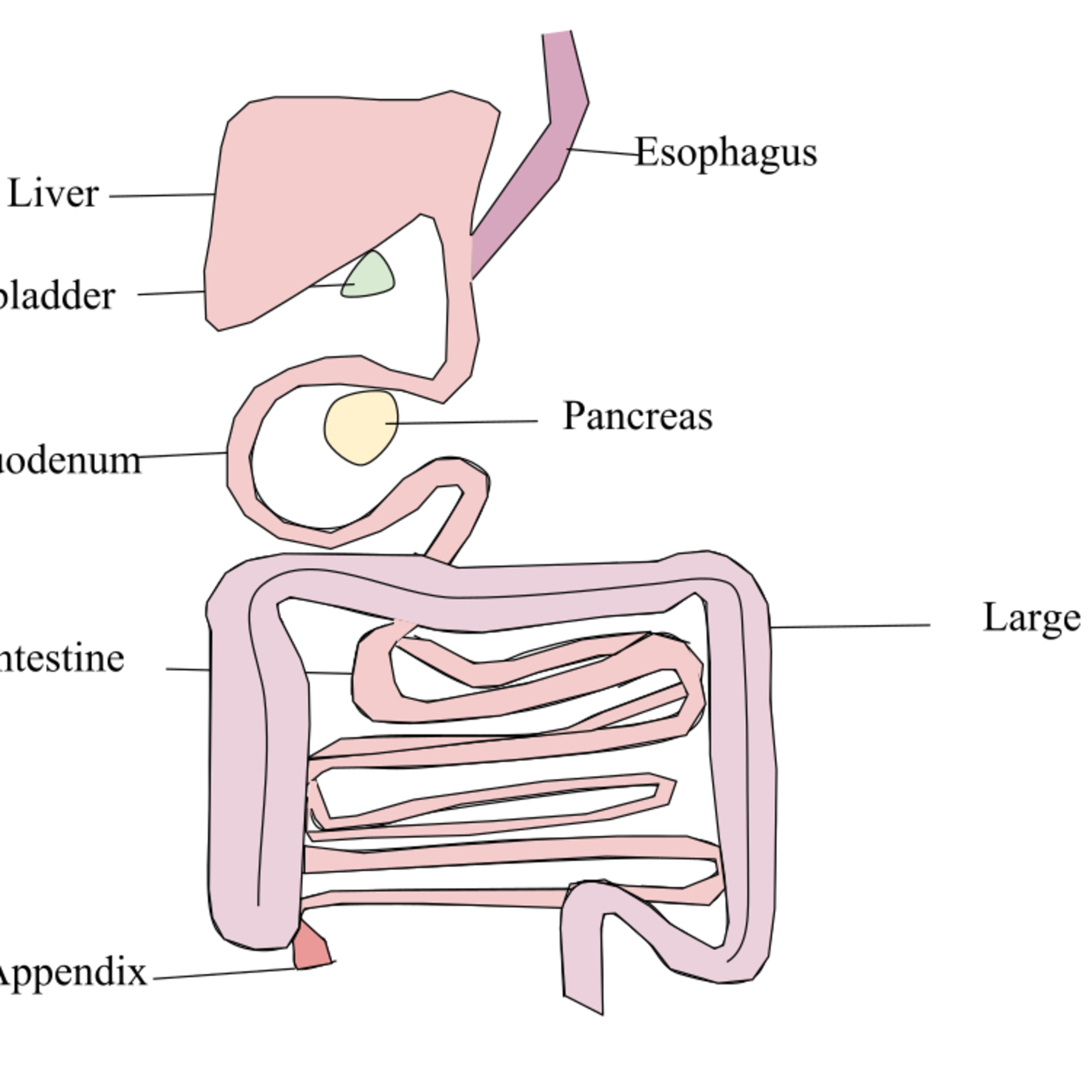 Biology lessons On Air