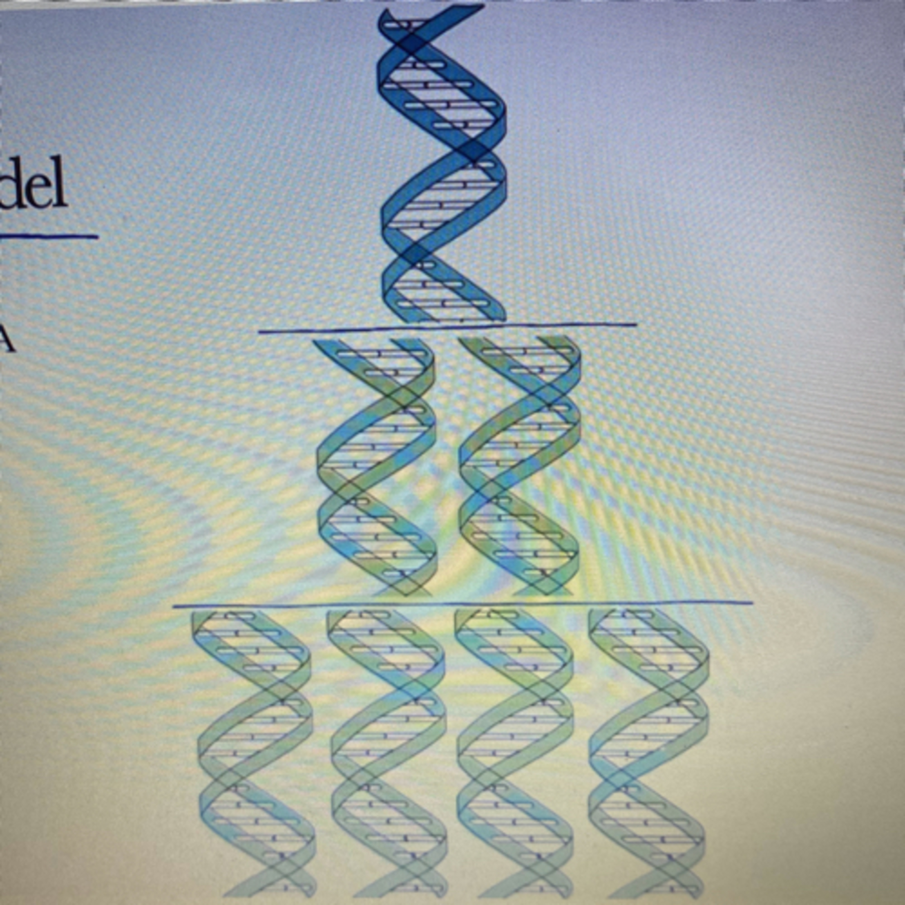 Biology lessons On Air