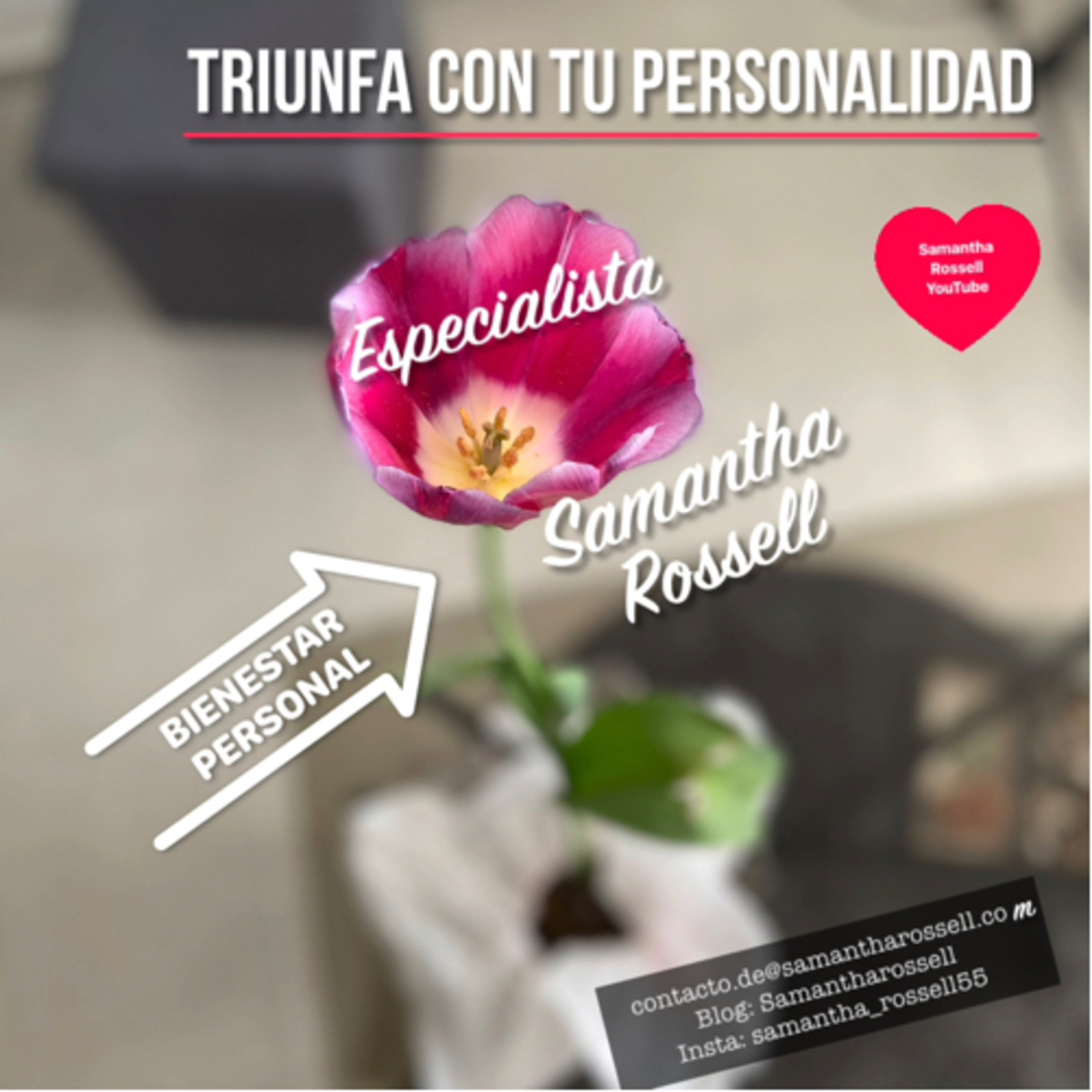 Proverbios y reflexiones para el Éxito  episode artwork