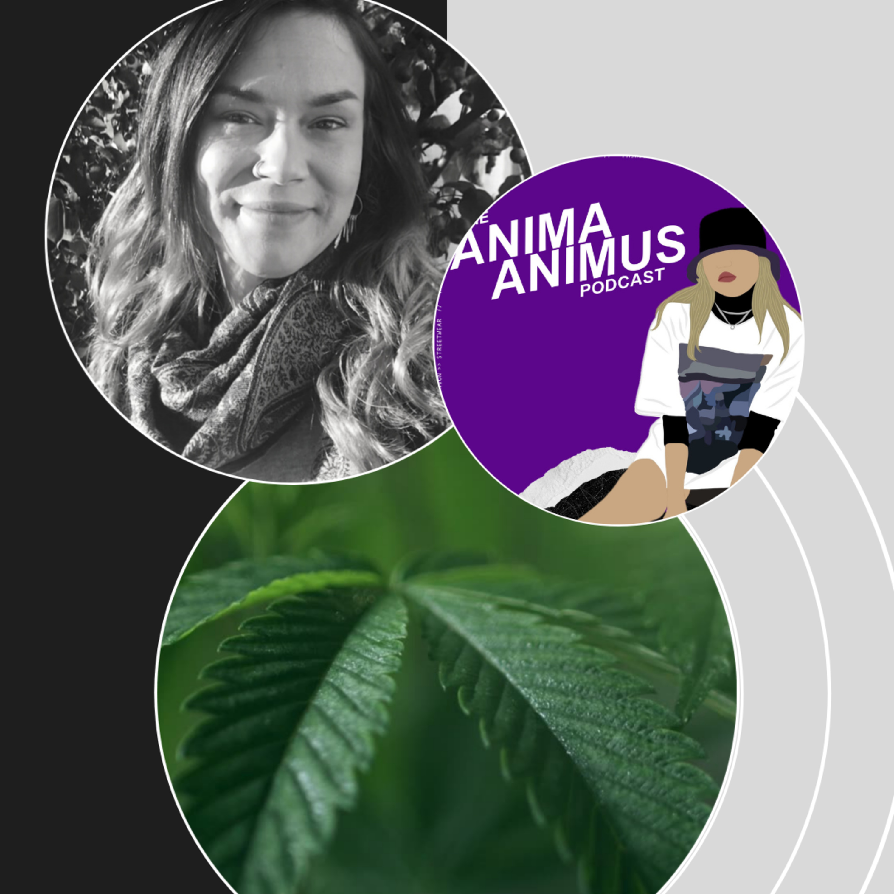 The ANIMA ANIMUS Podcast