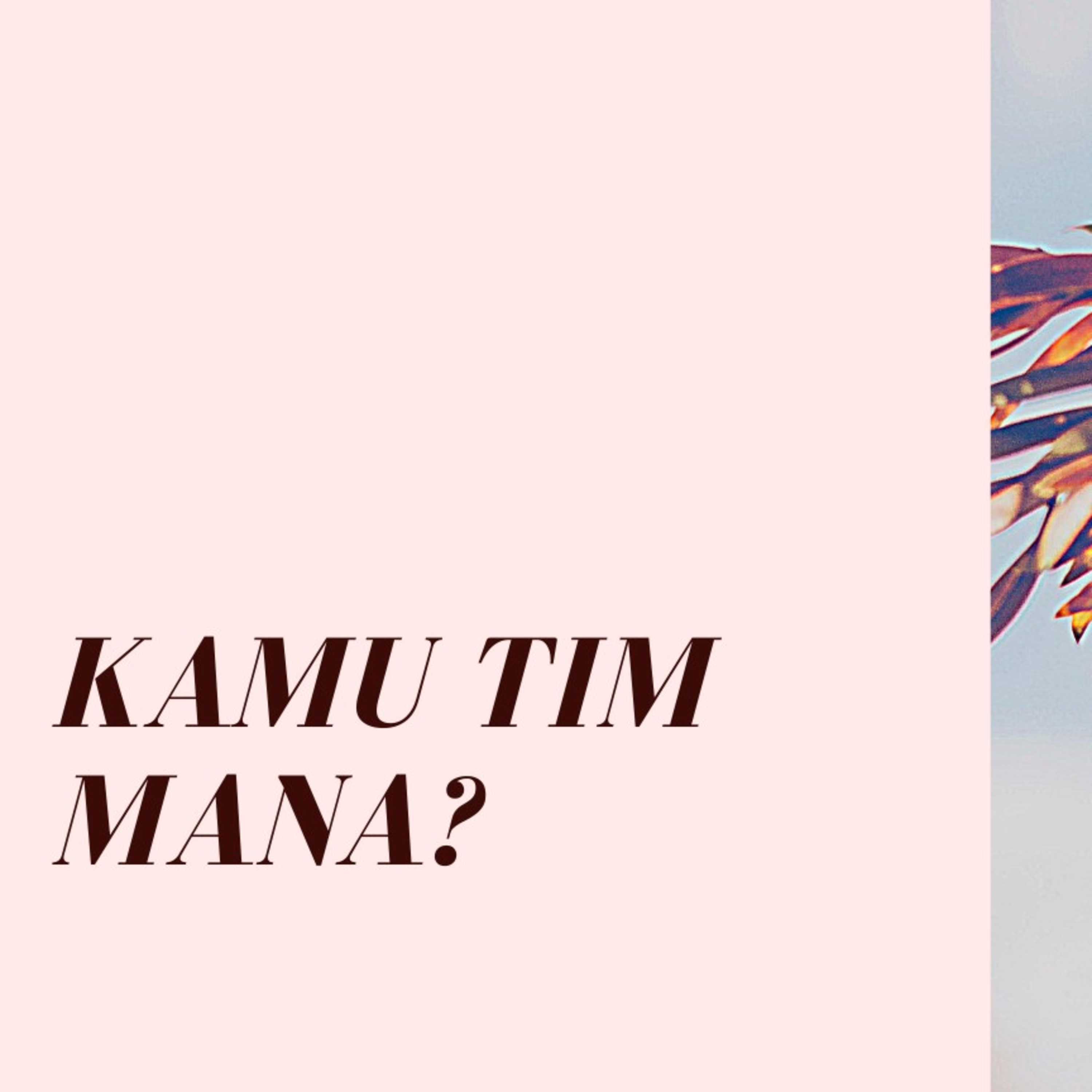 Kamu tim mana?  episode artwork