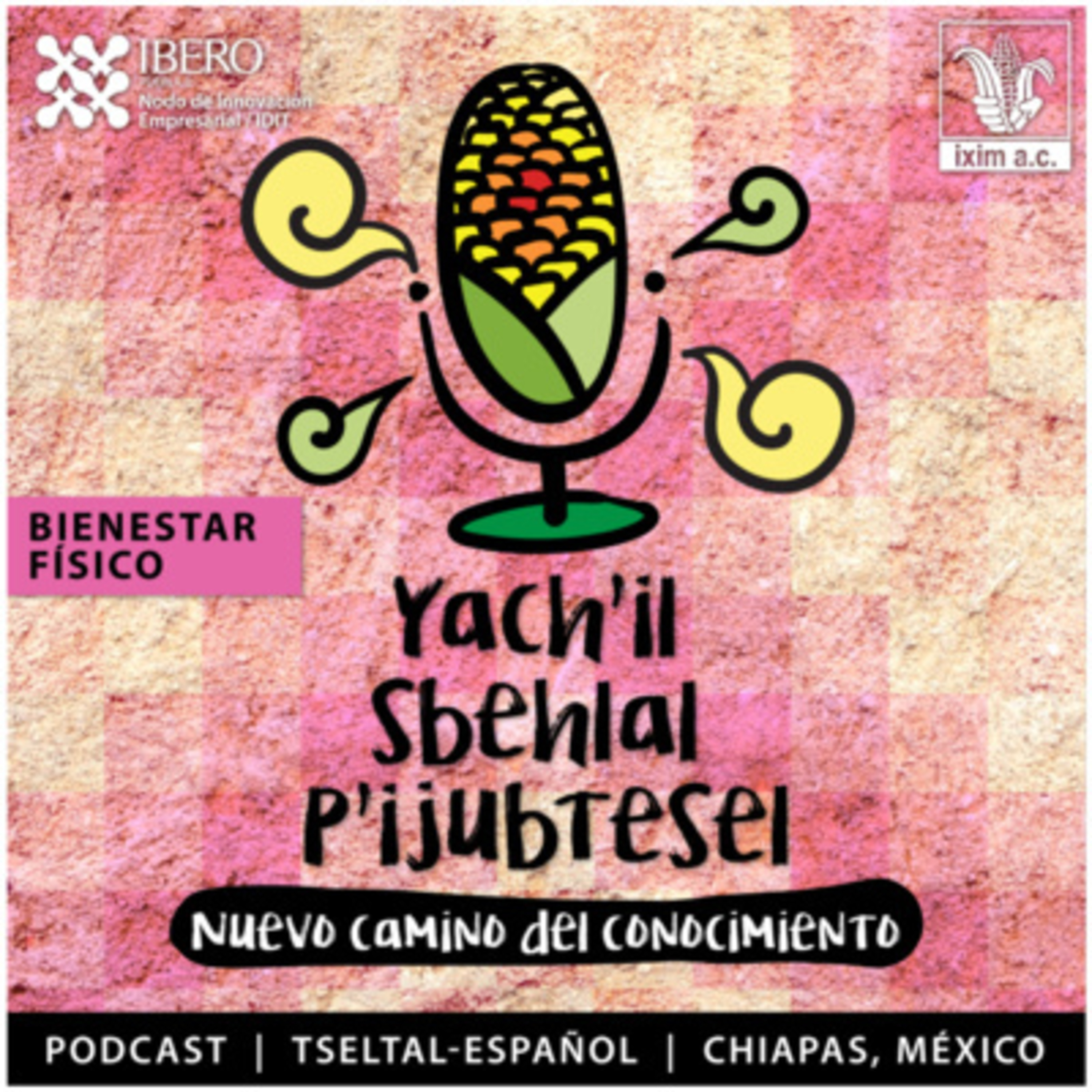 Programa IXIM tseltal