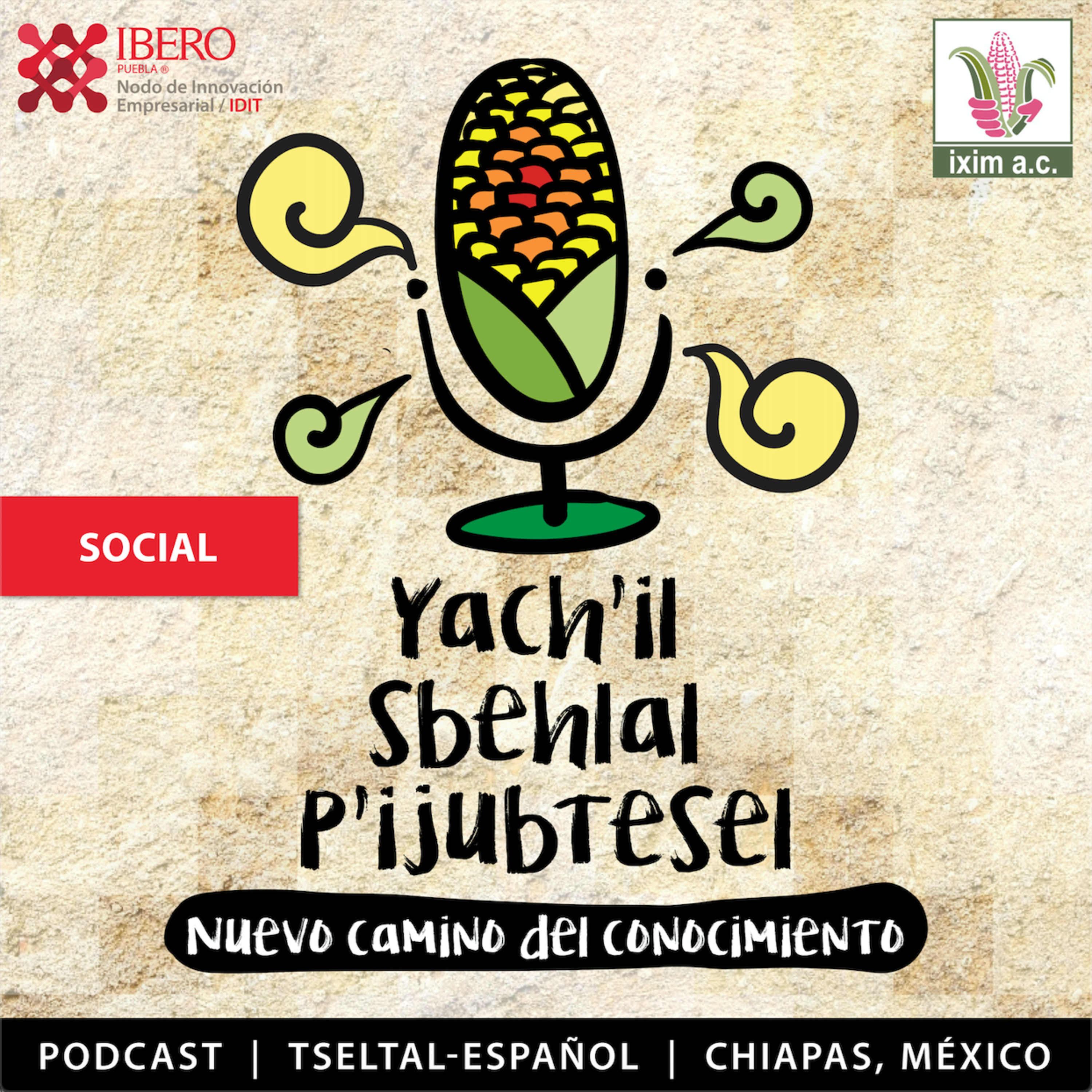 Programa IXIM tseltal