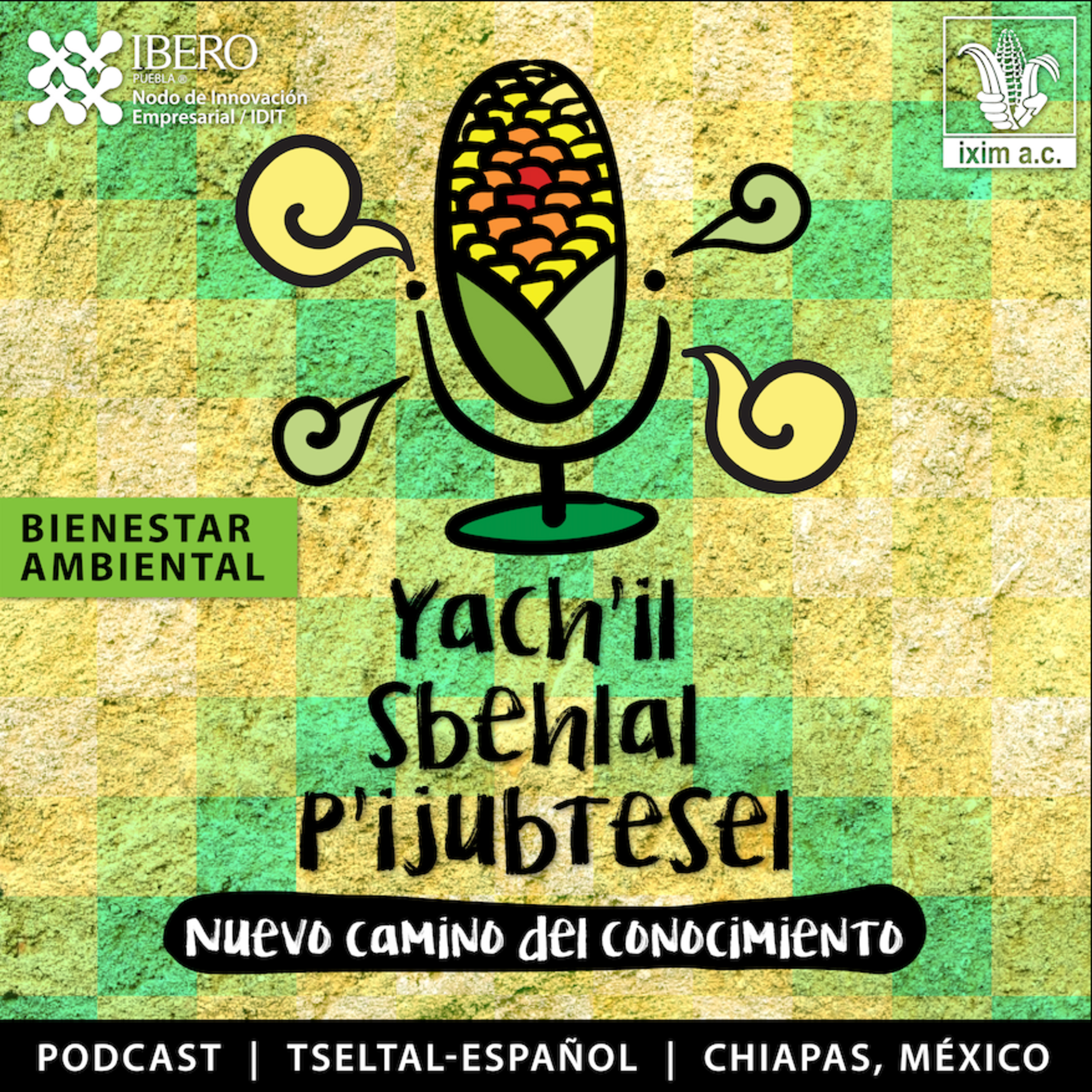 Programa IXIM tseltal
