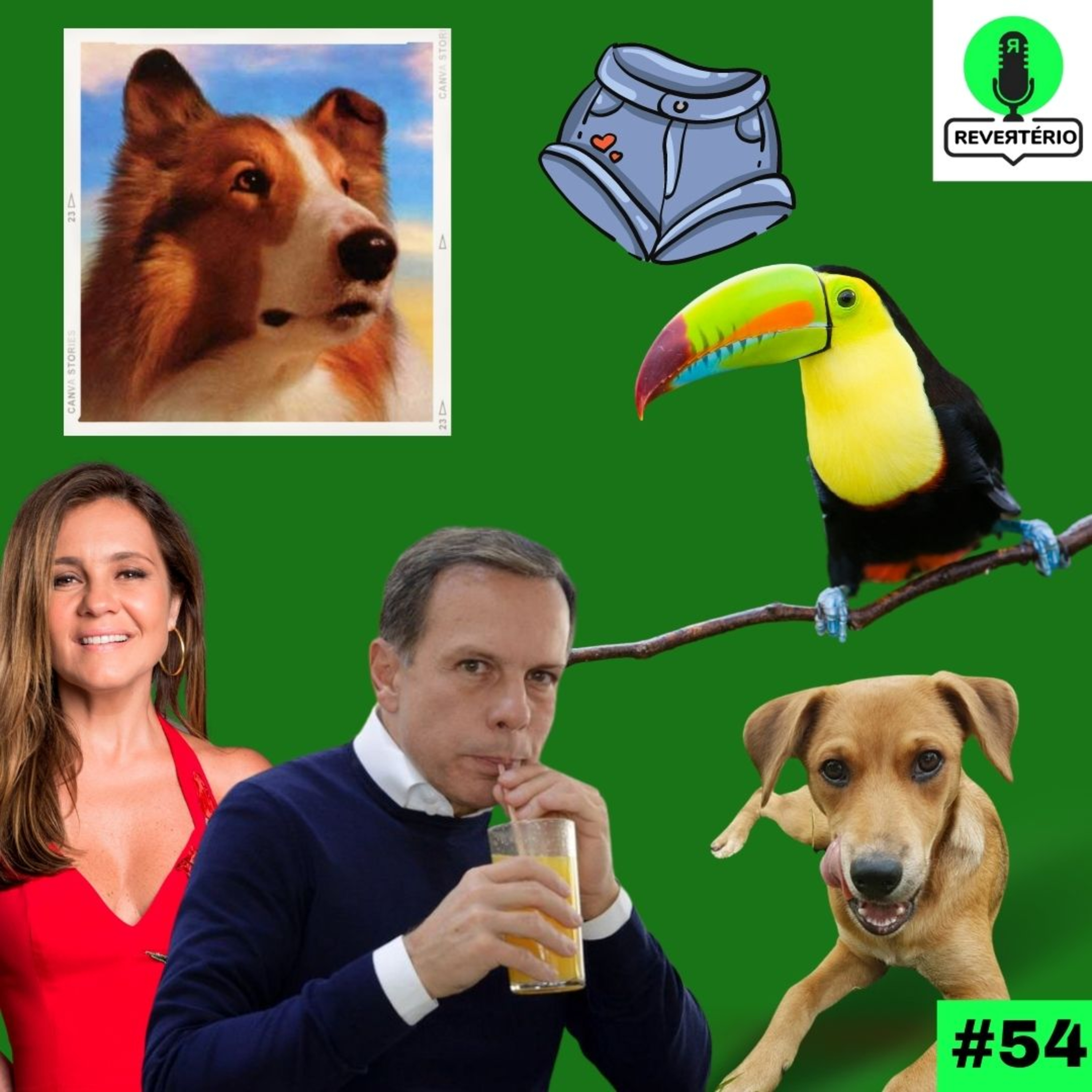 Revertério