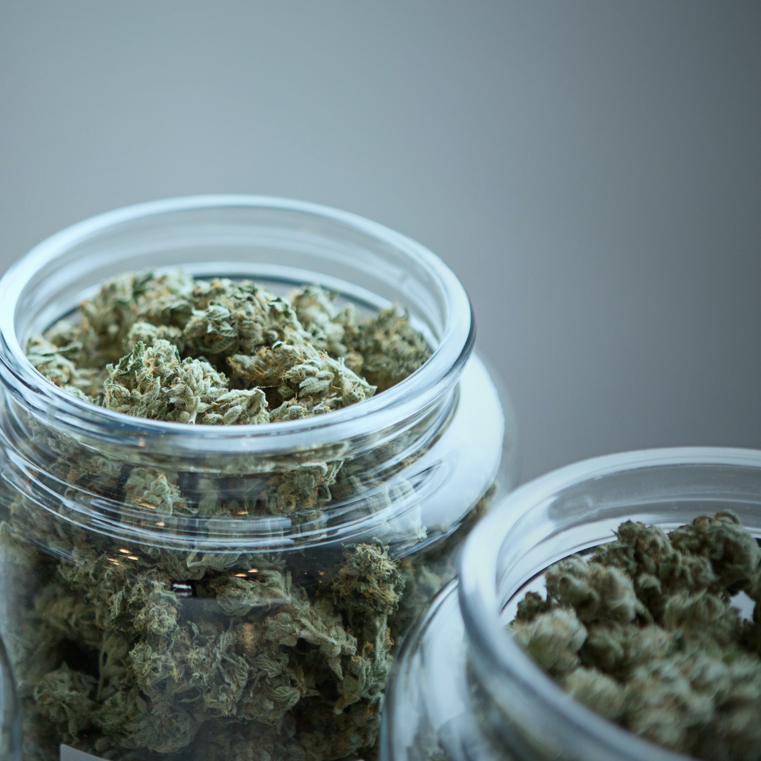 Growing Forward: Cannabis and New Mexico