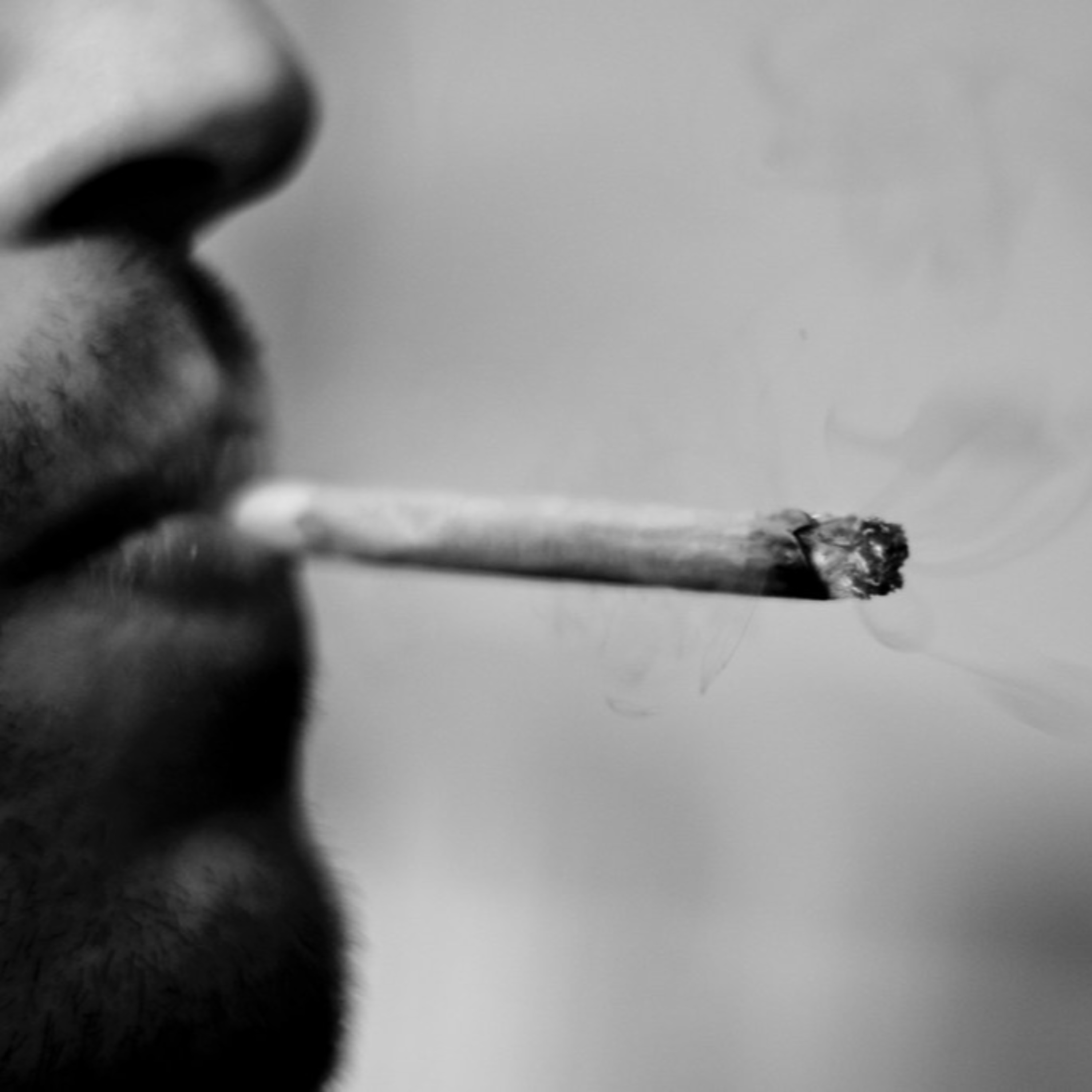 Growing Forward: Cannabis and New Mexico