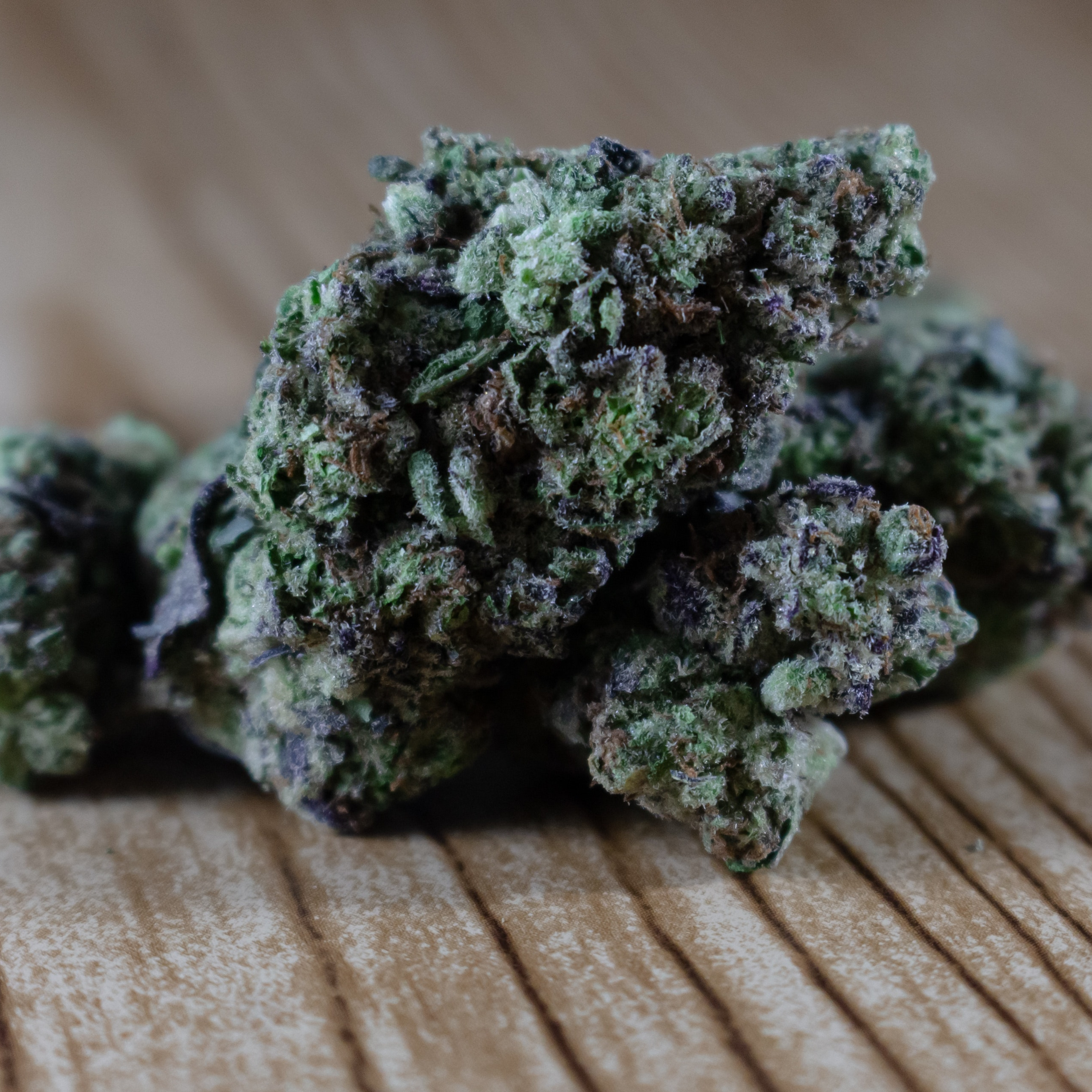 Growing Forward: Cannabis and New Mexico