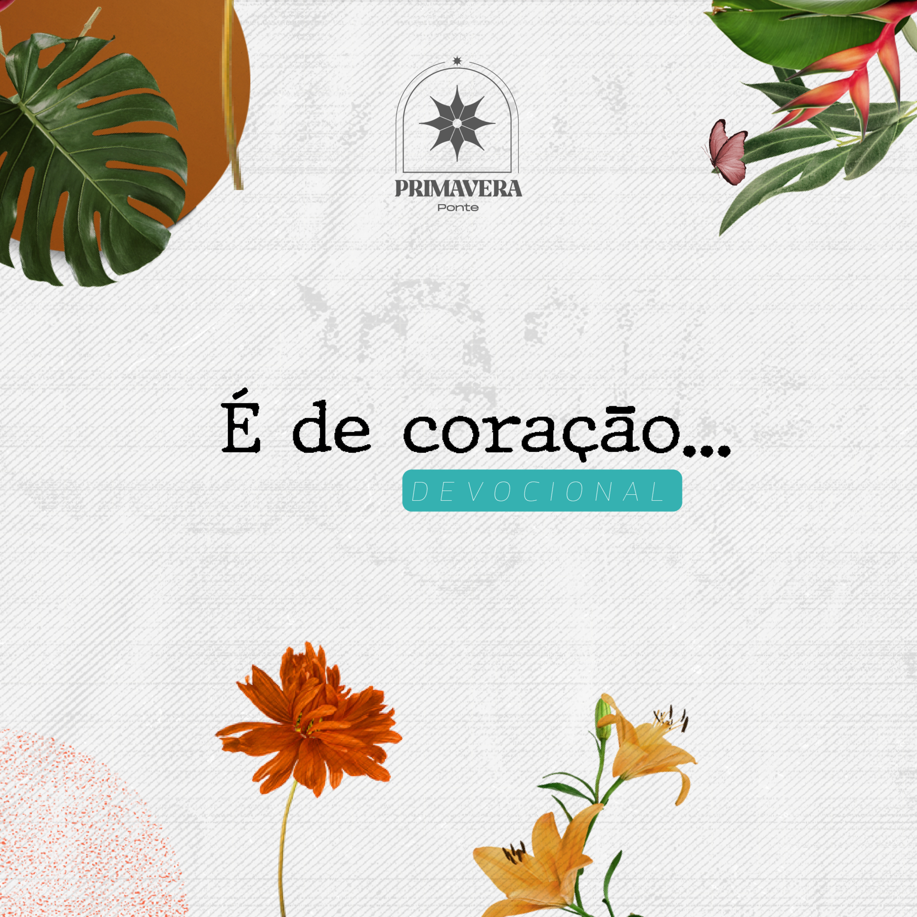 A Ponte BH