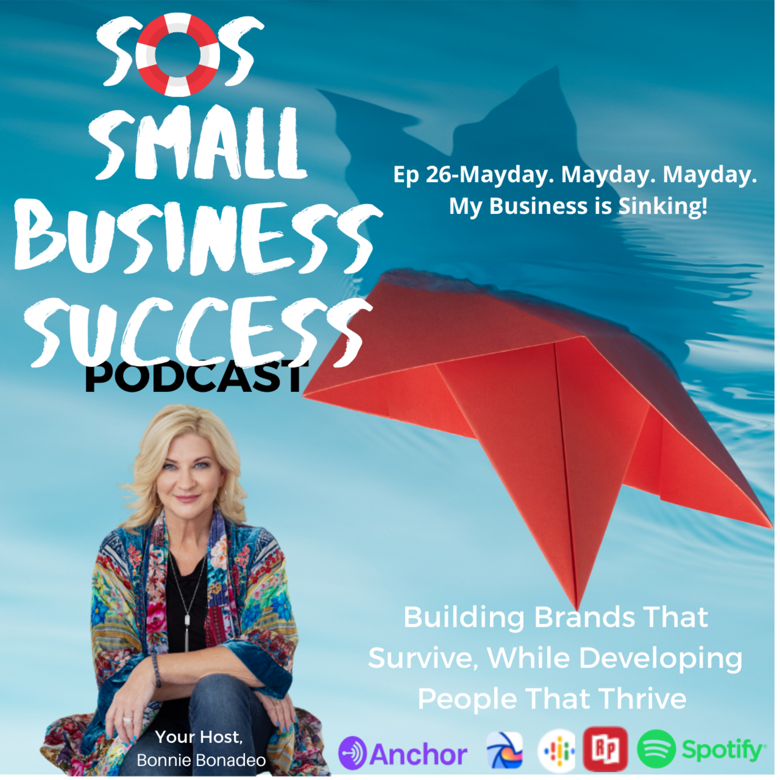 SOS Small Business Success