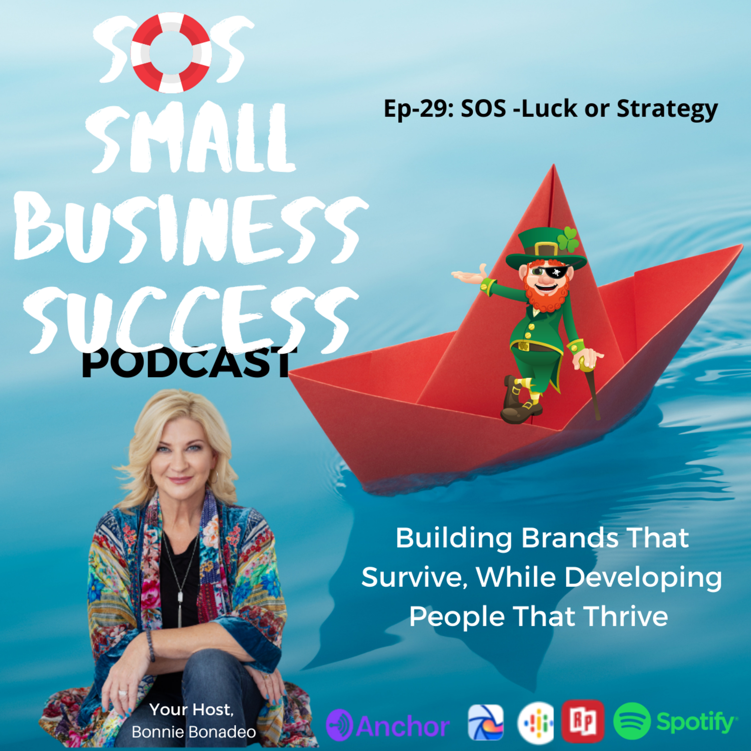 SOS Small Business Success