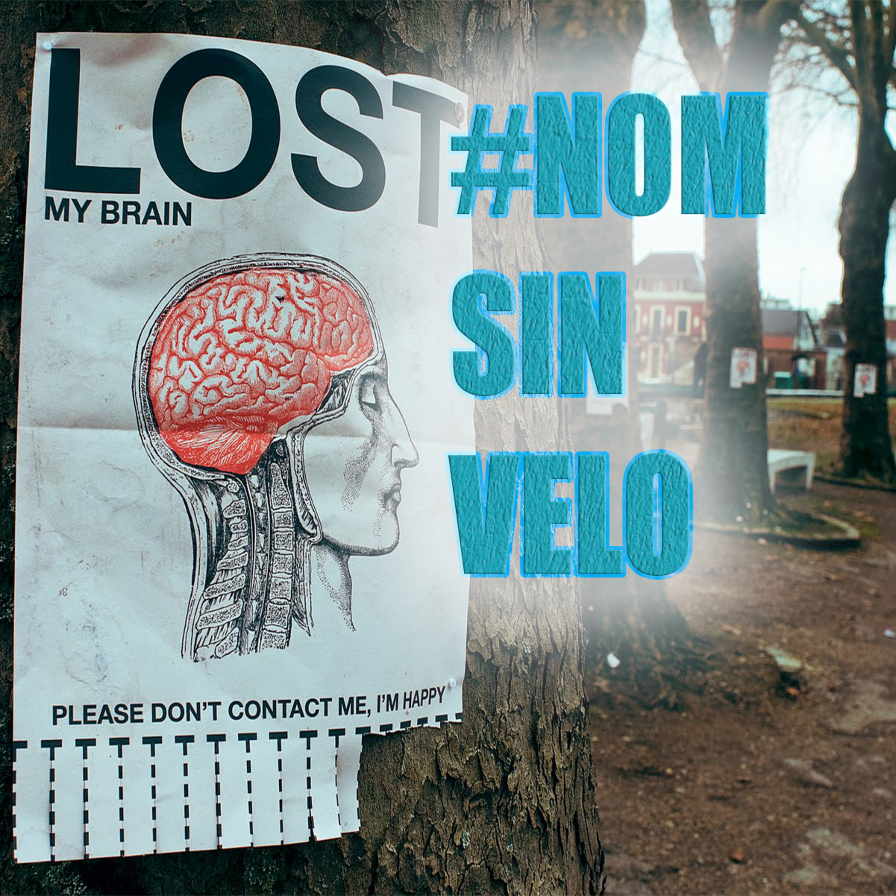 Análisis Post Plebiscito: Diagnosticar para Despertar y Sanar, o caer al abismo. #NOMSinVelo  episode artwork