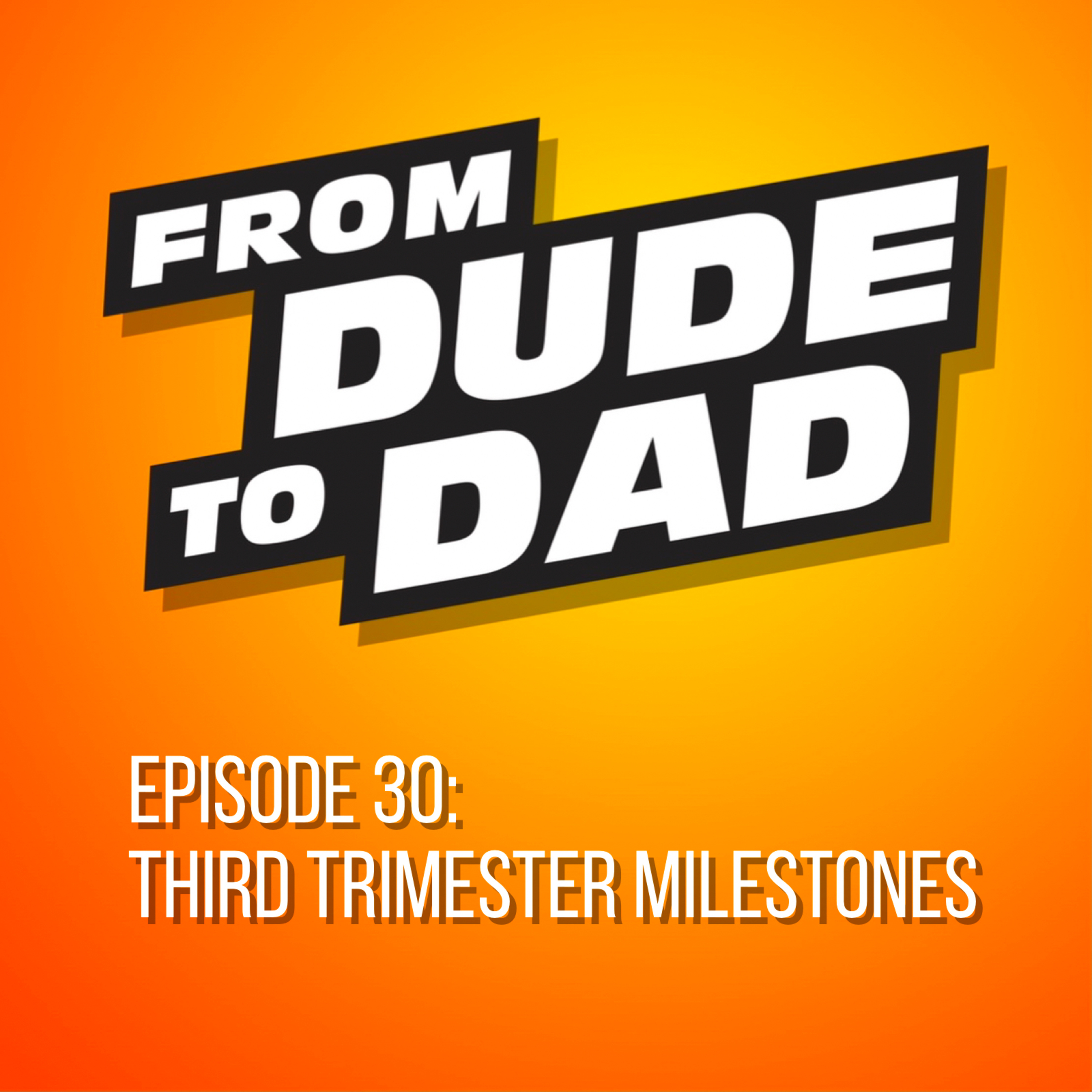 From Dude To Dad