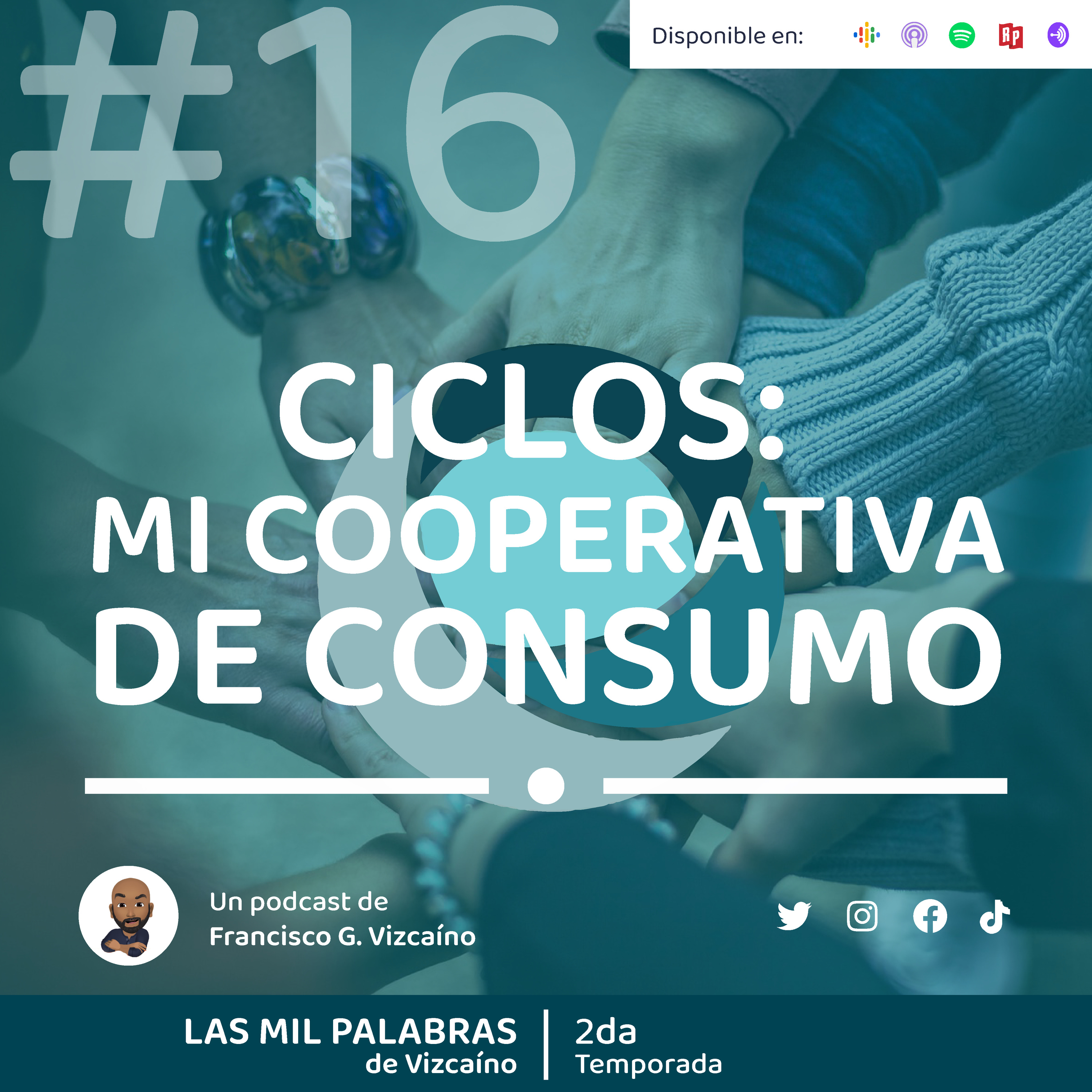 Las Mil Palabras De Vizcaíno