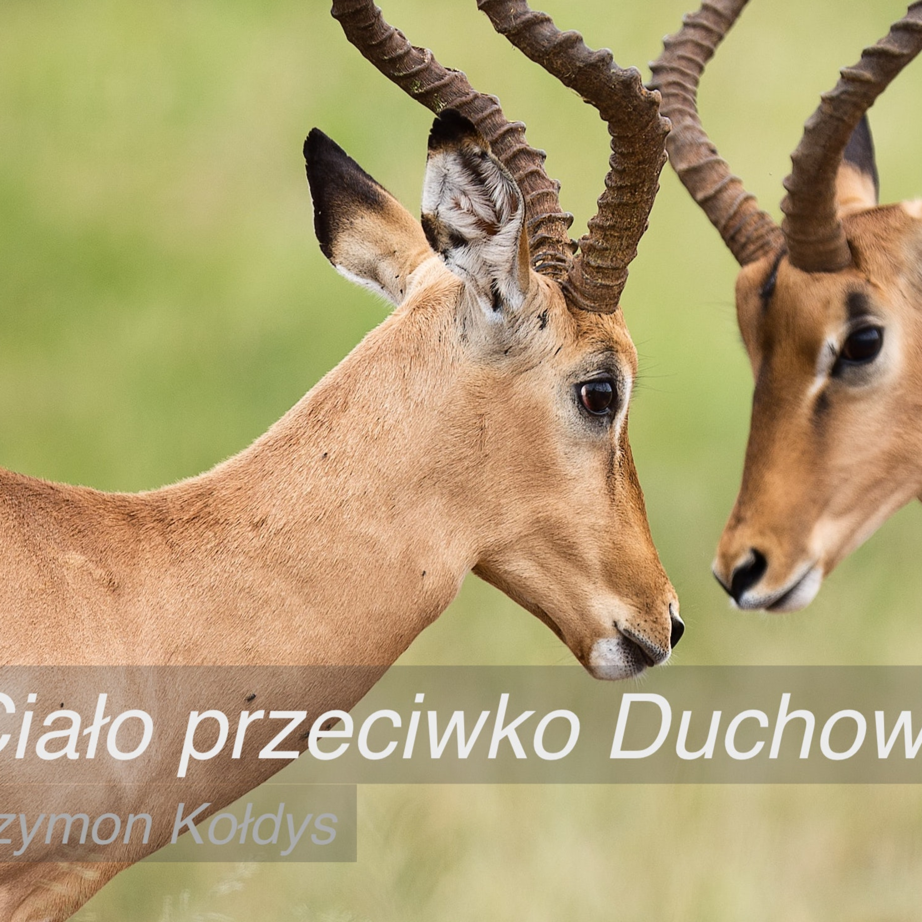 Kazania KChB w Kętrzynie