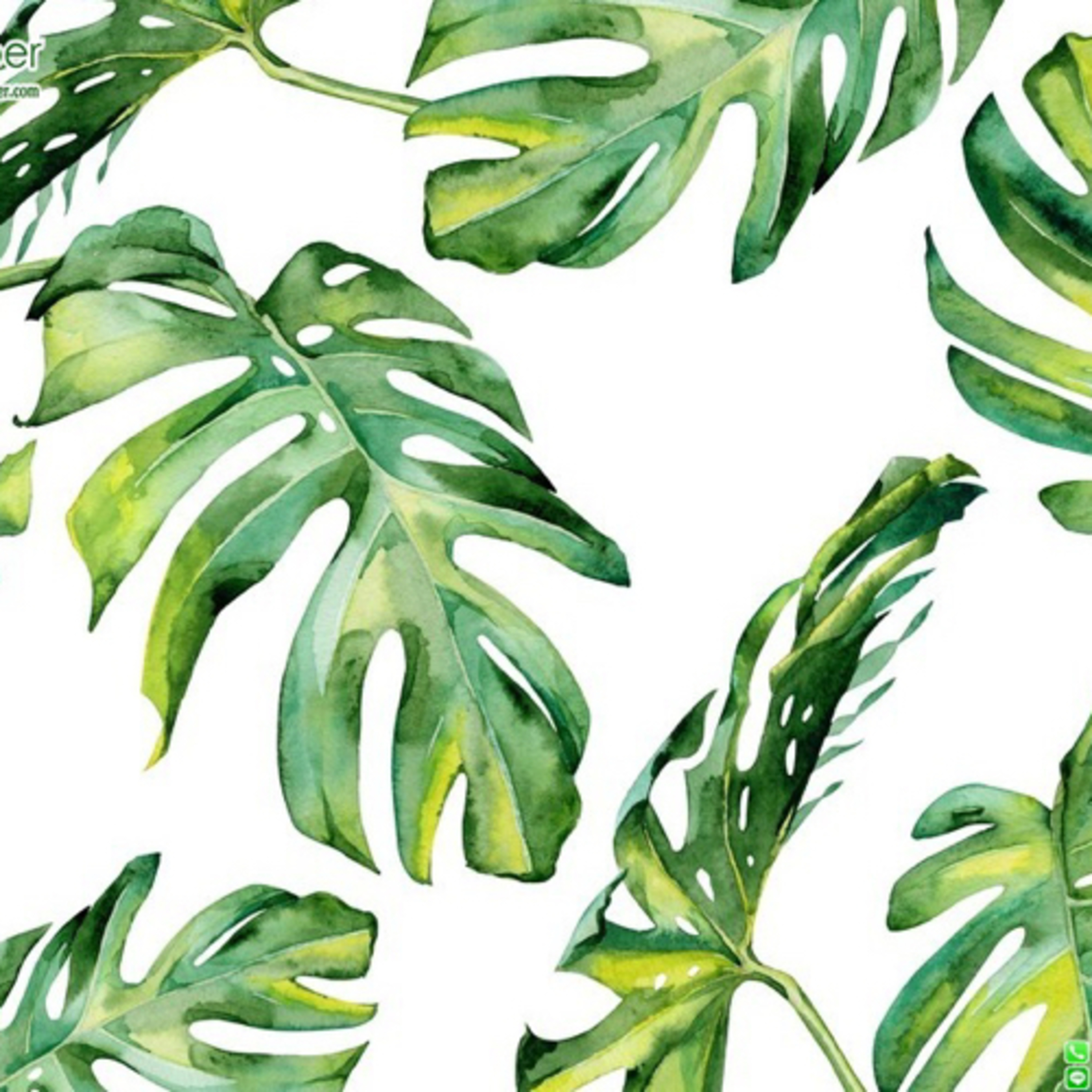 Auxin 4/1