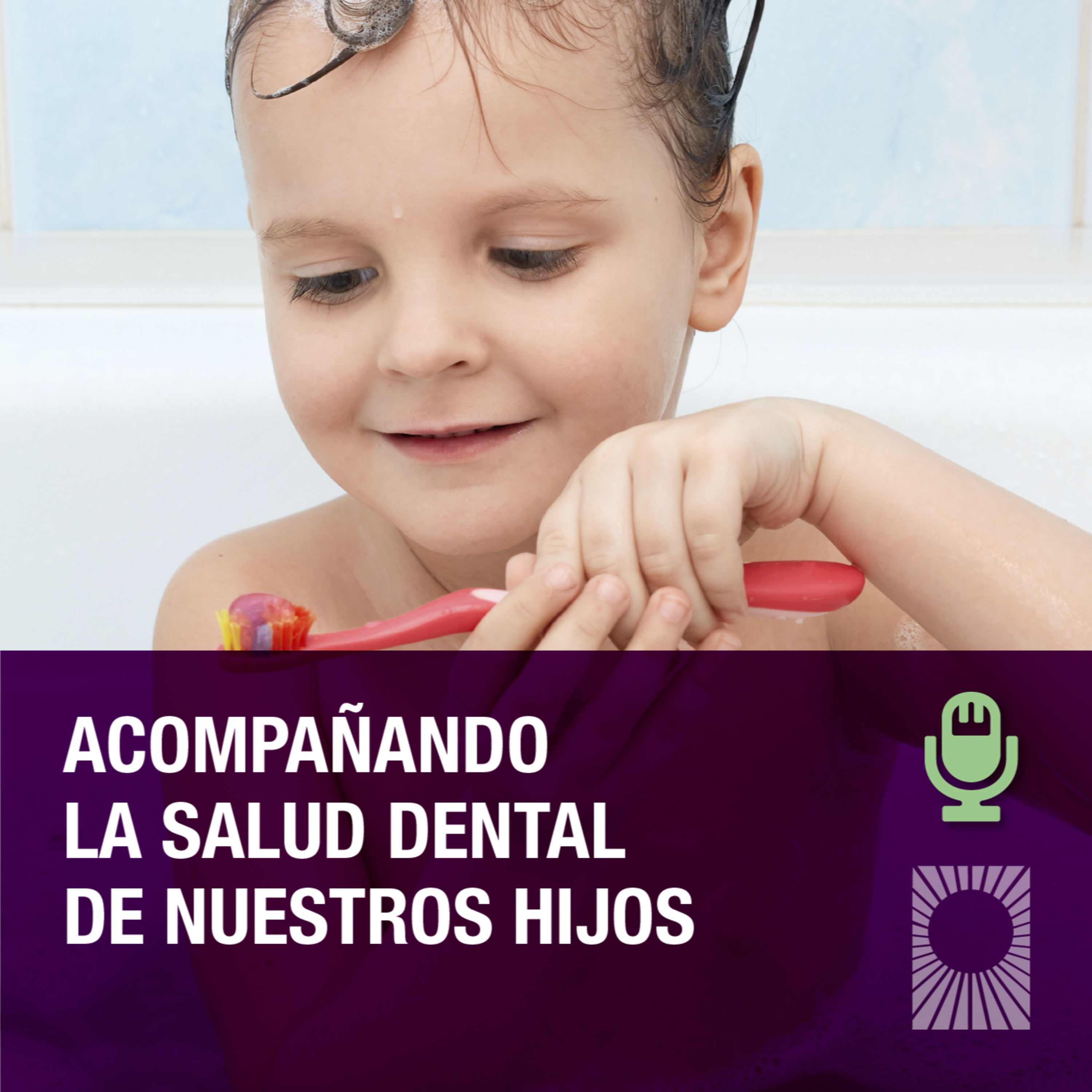 Diagnóstico Maipú