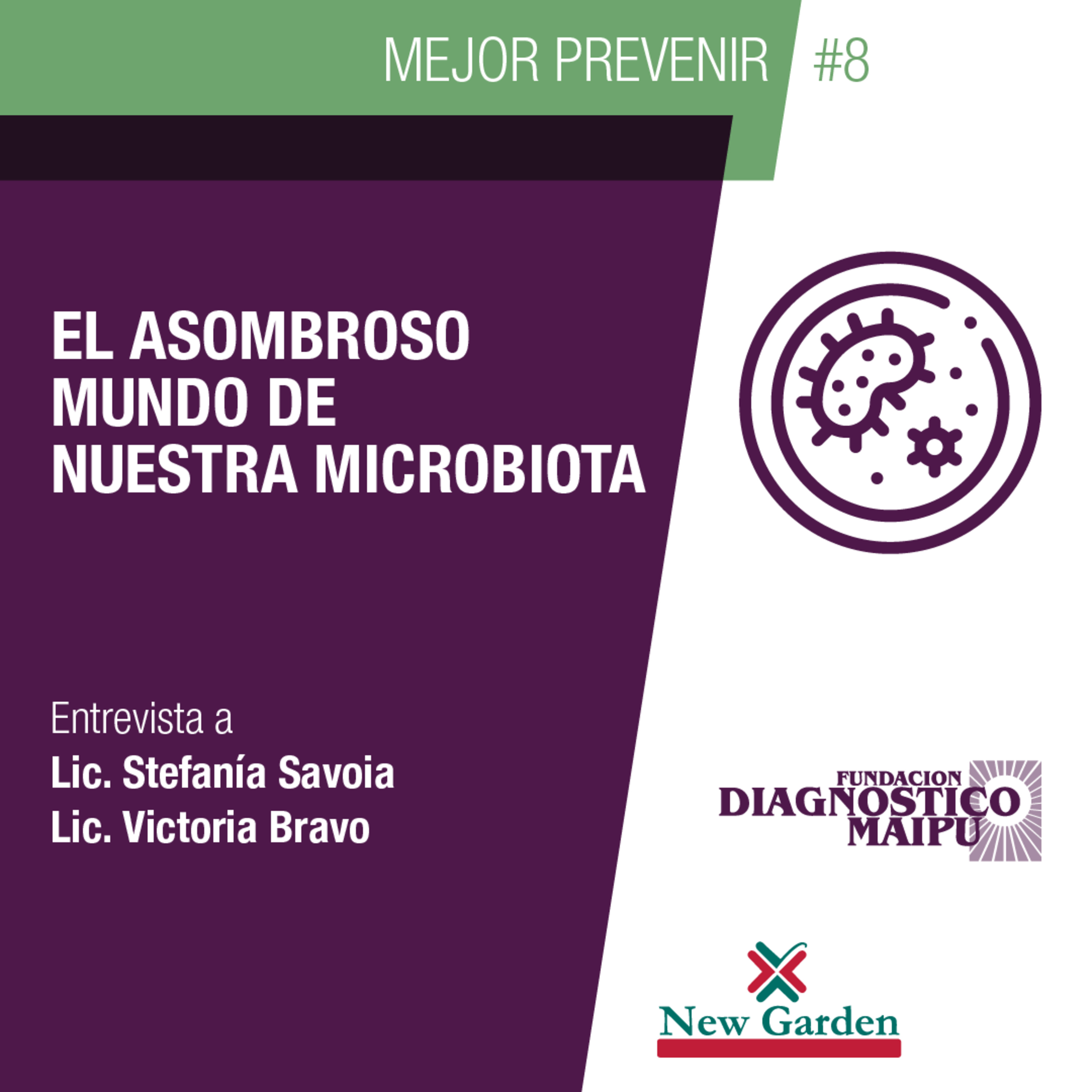 Diagnóstico Maipú