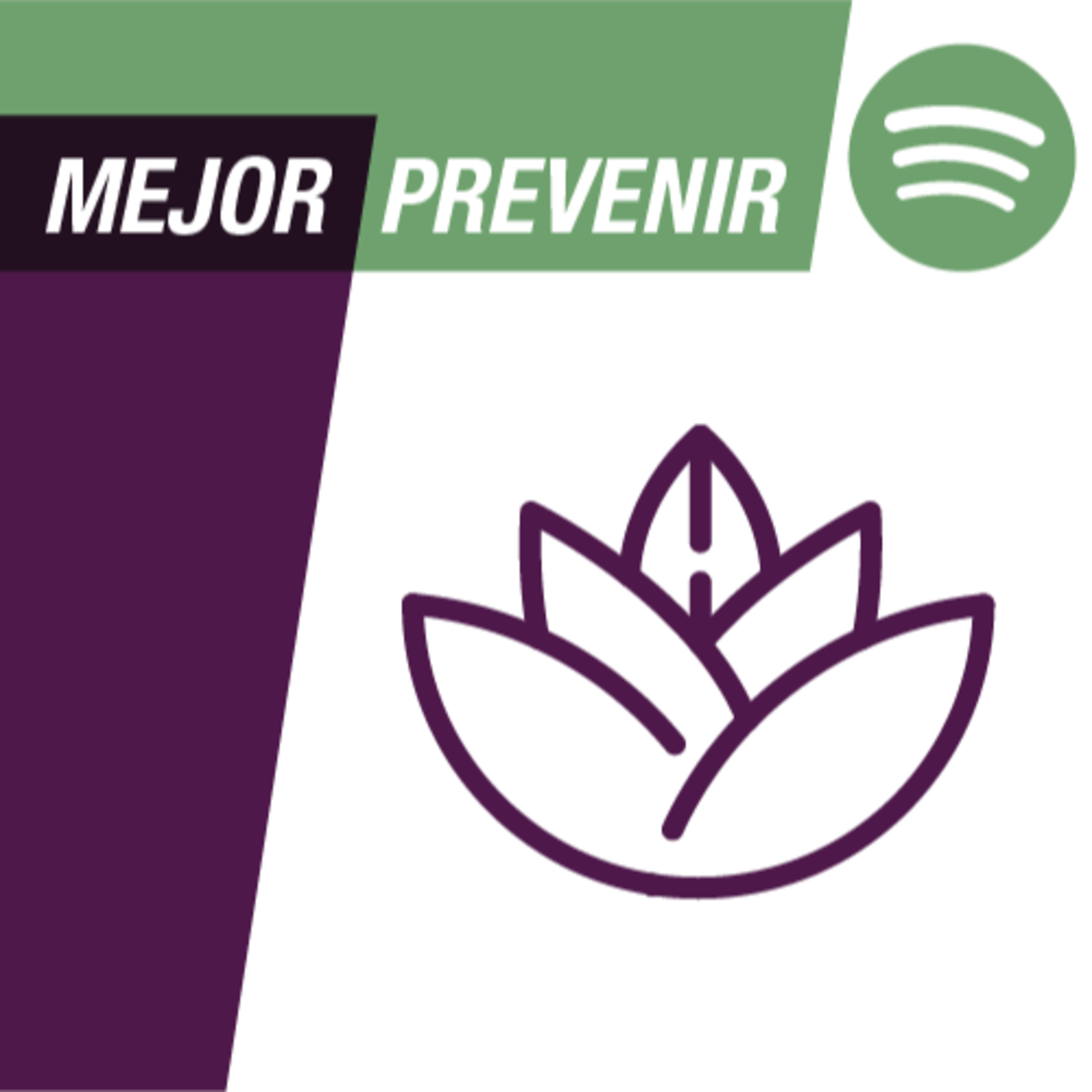 Diagnóstico Maipú