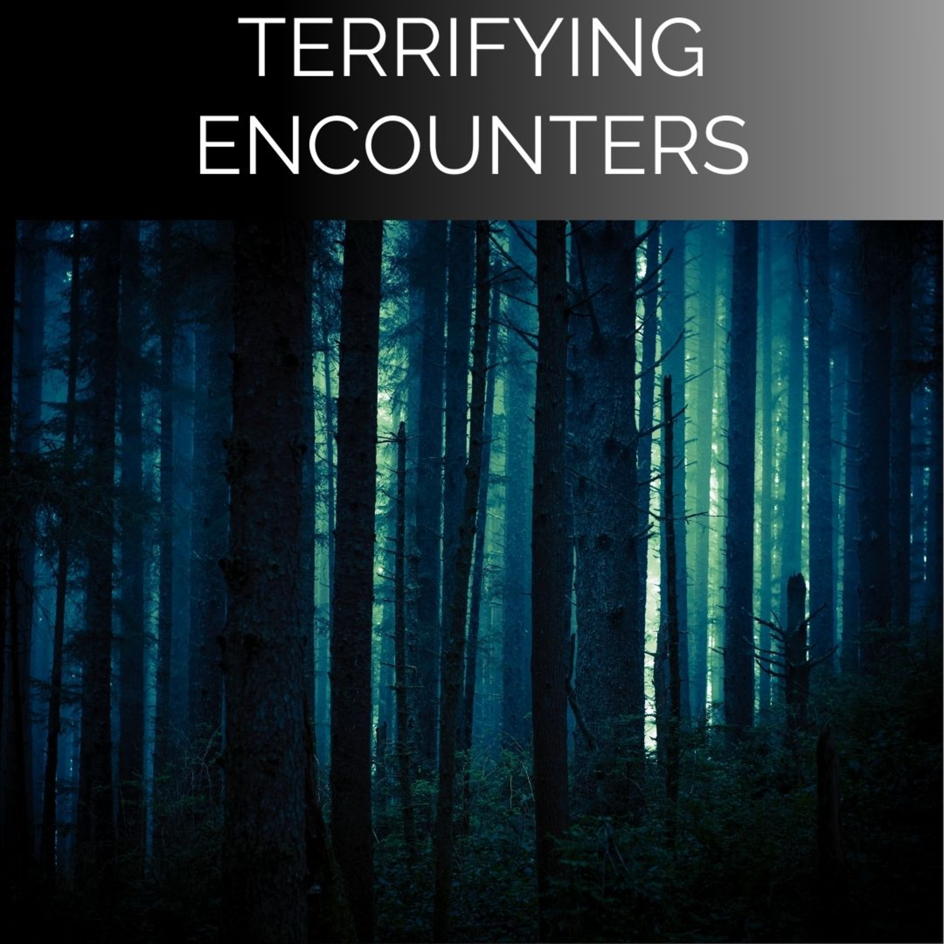 Terrifying Encounters