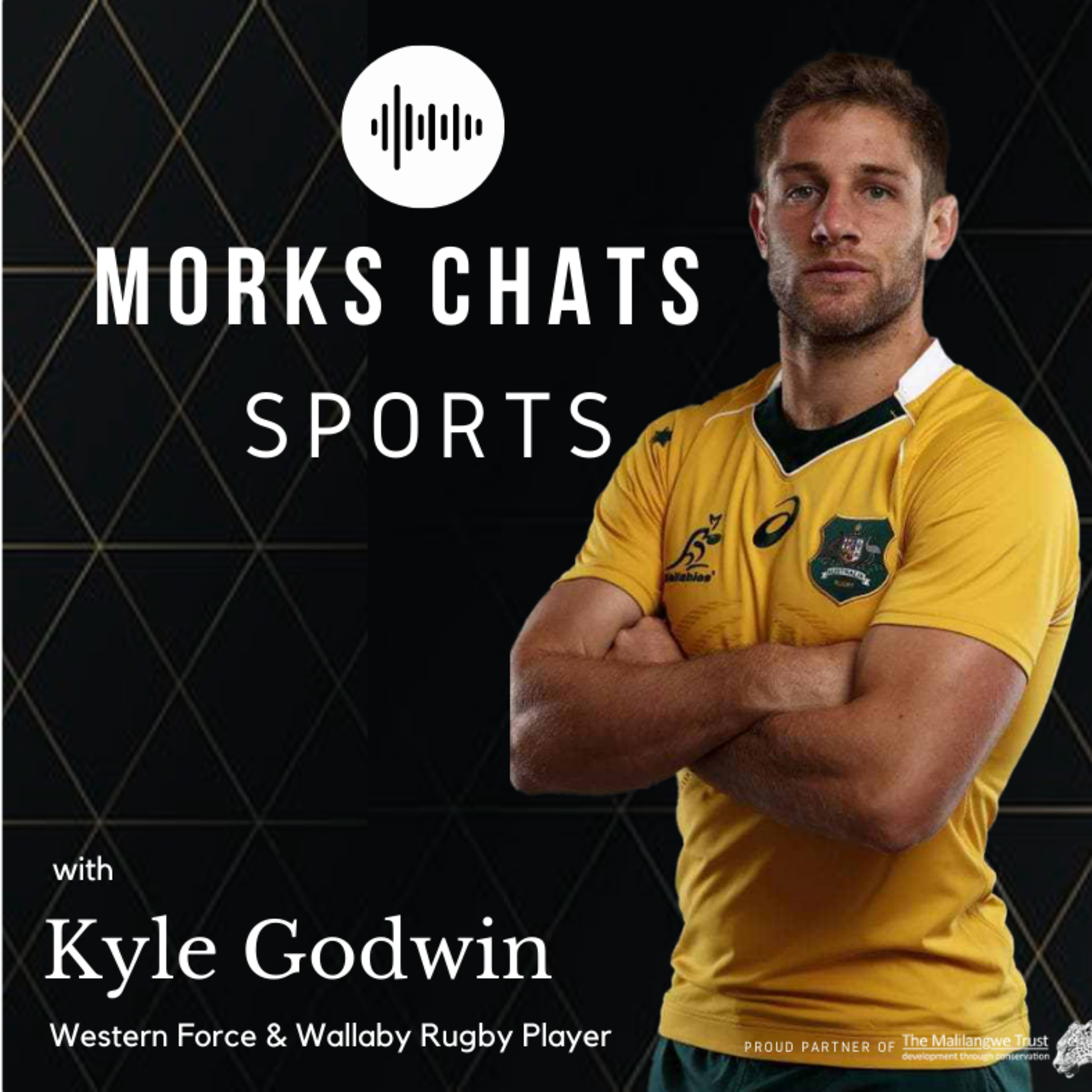Morks Chats Sports ⚽️🏏🏉🐘🇿🇼