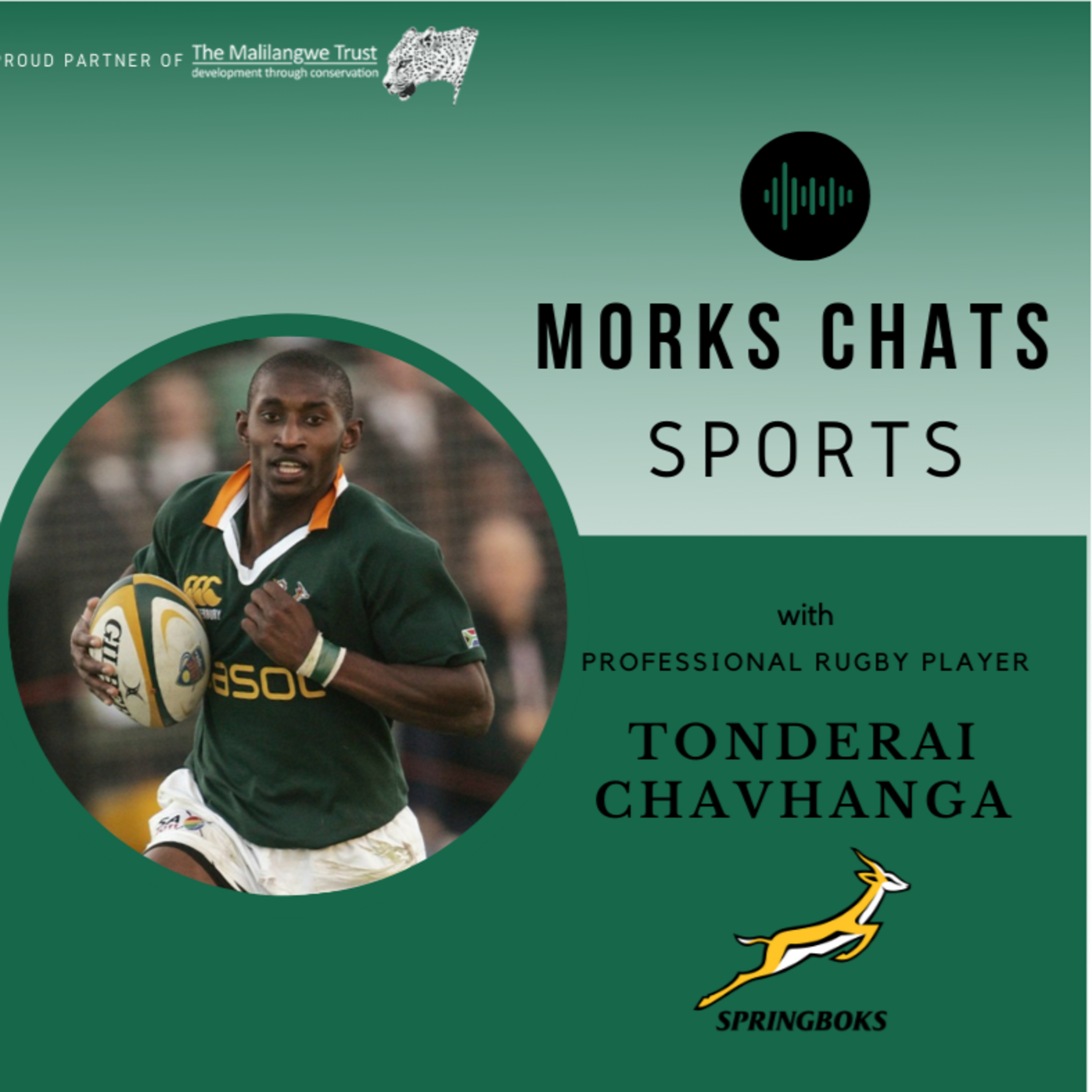 Morks Chats Sports ⚽️🏏🏉🐘🇿🇼