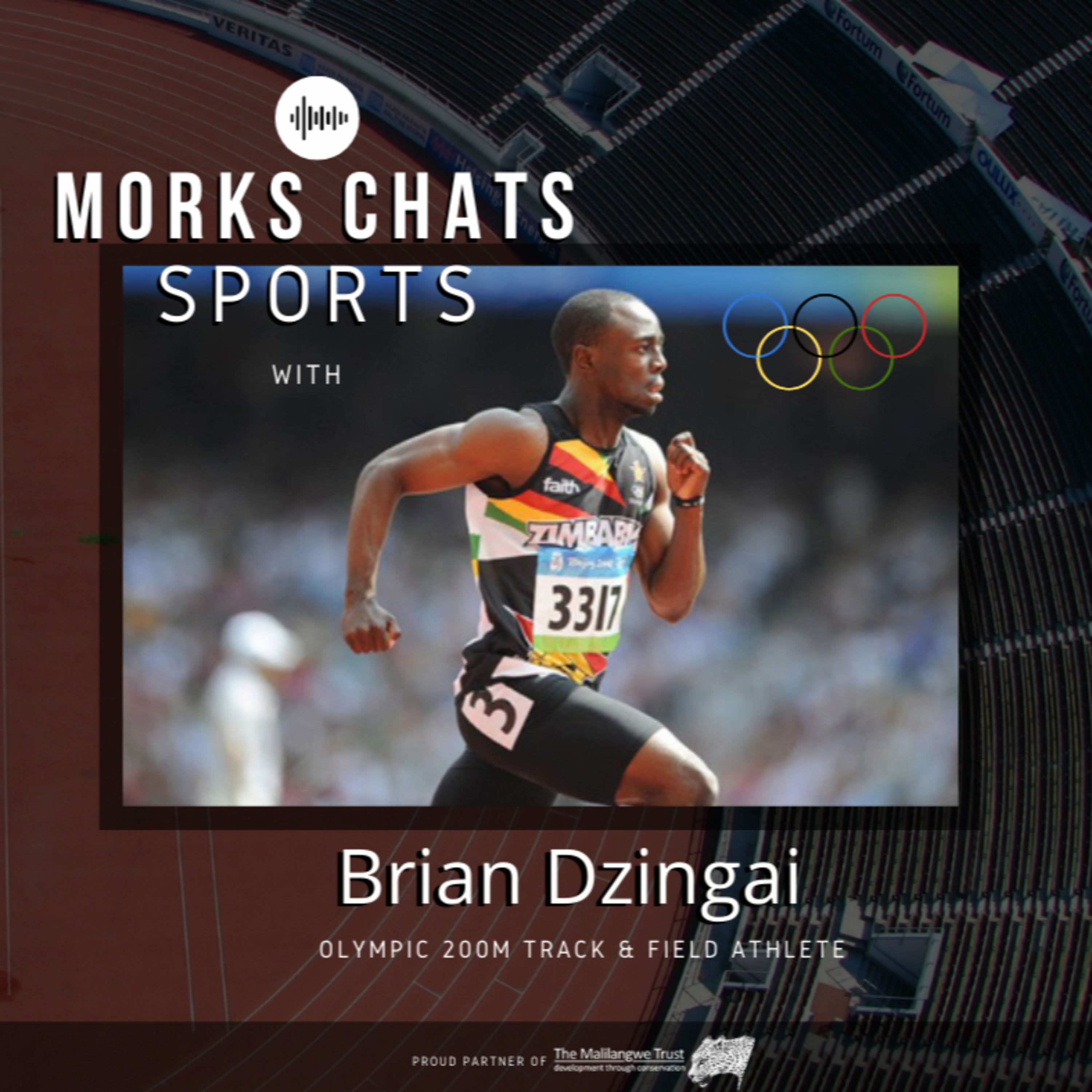 Morks Chats Sports ⚽️🏏🏉🐘🇿🇼