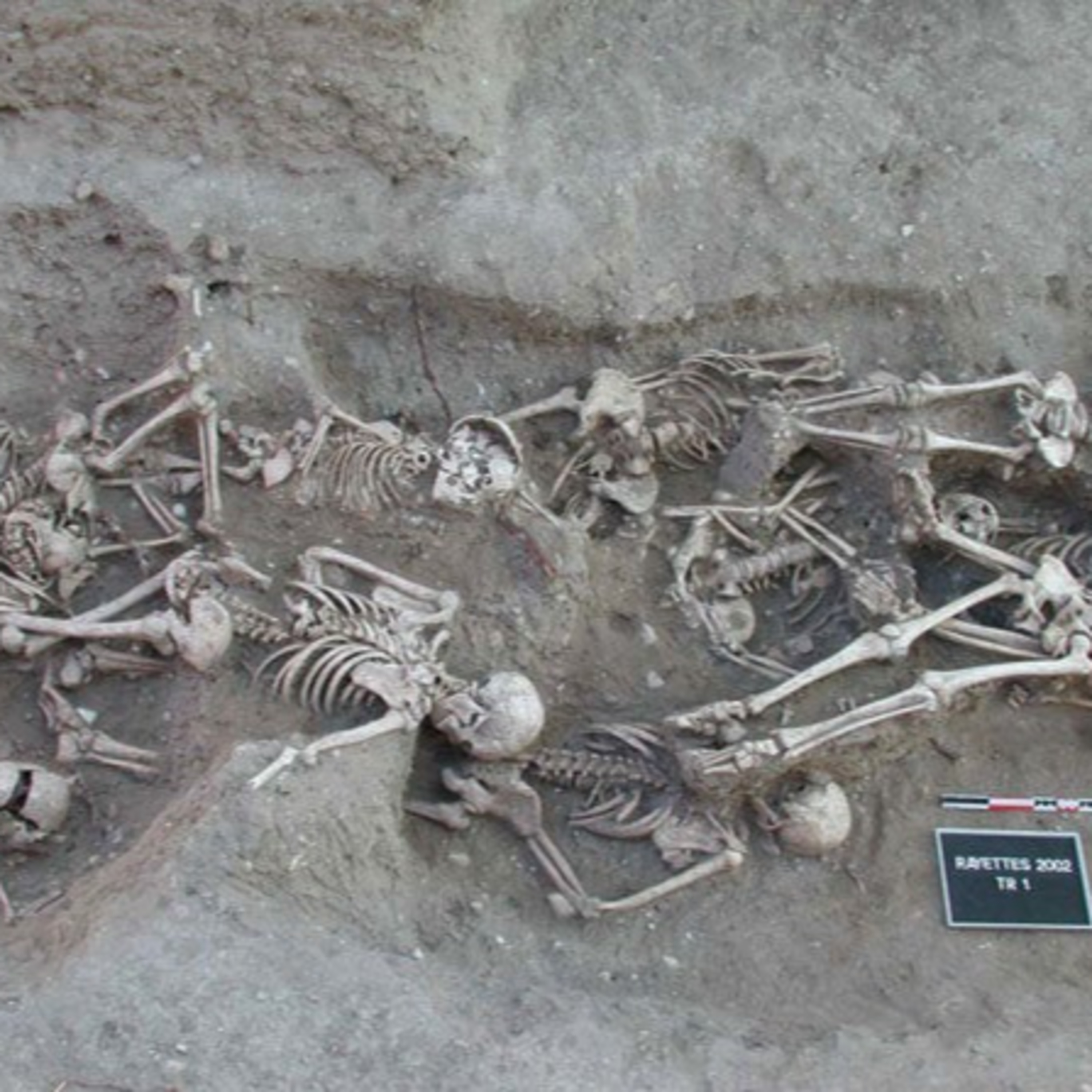 The Study of Antiquity and the Middle Ages