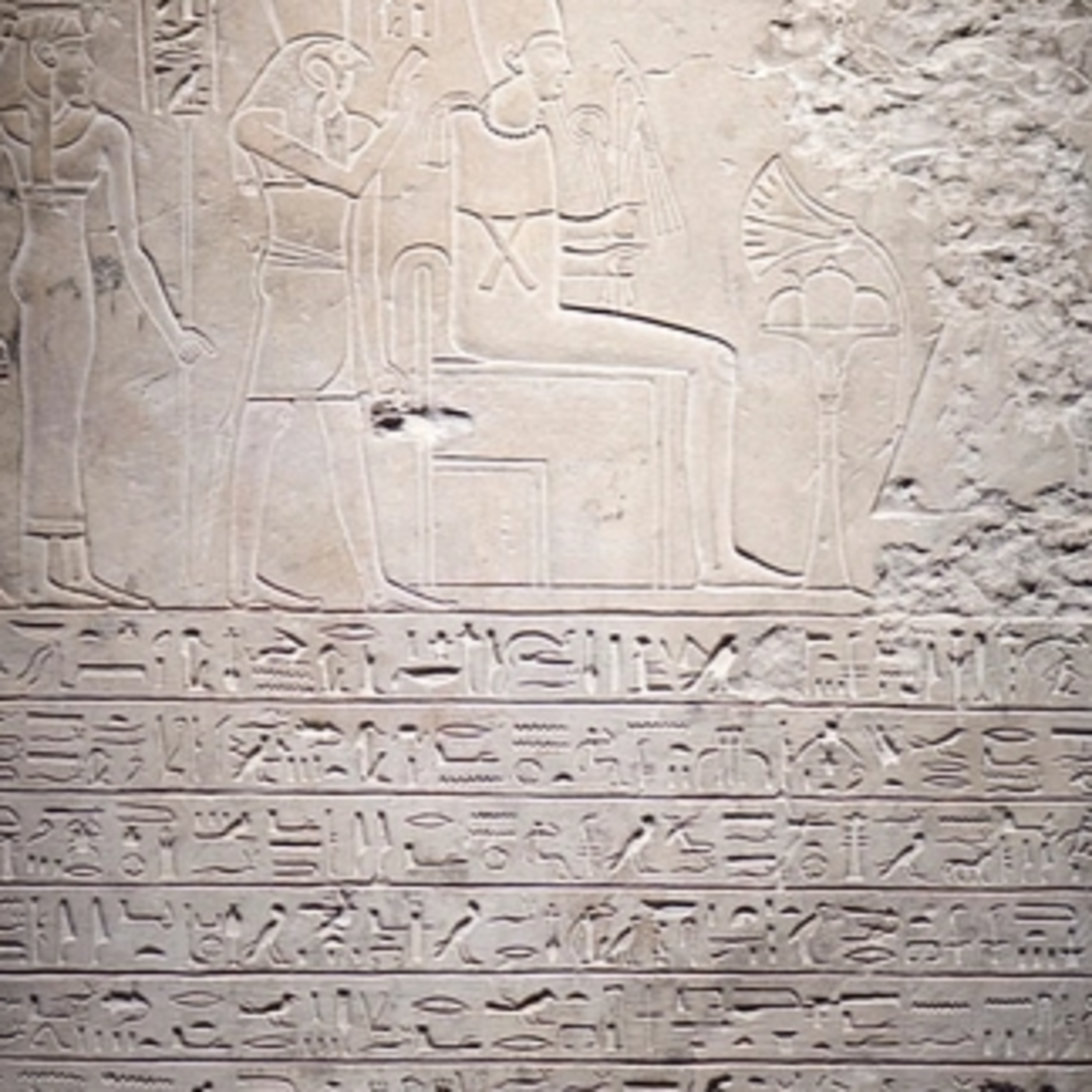 The Study of Antiquity and the Middle Ages