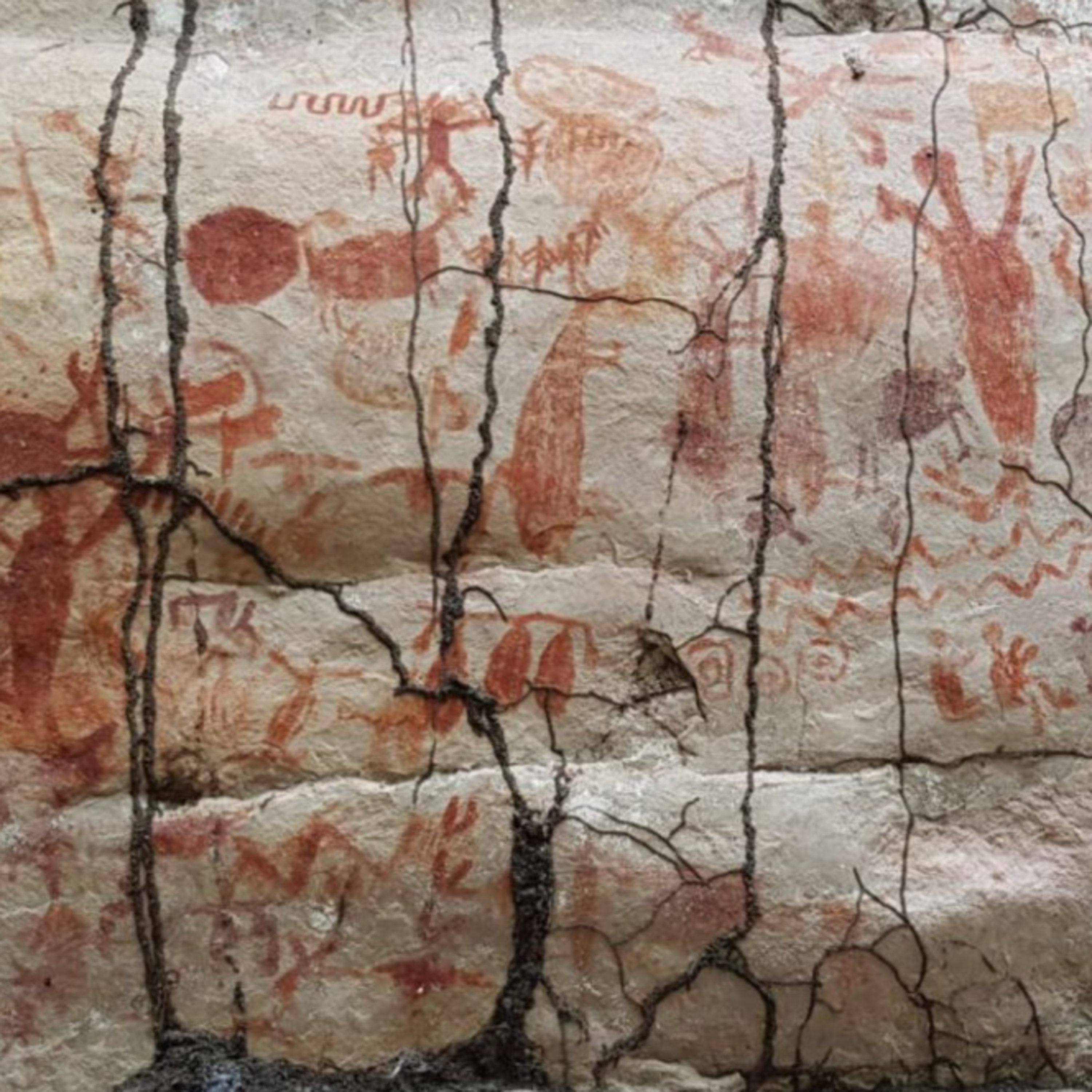 The Study of Antiquity and the Middle Ages