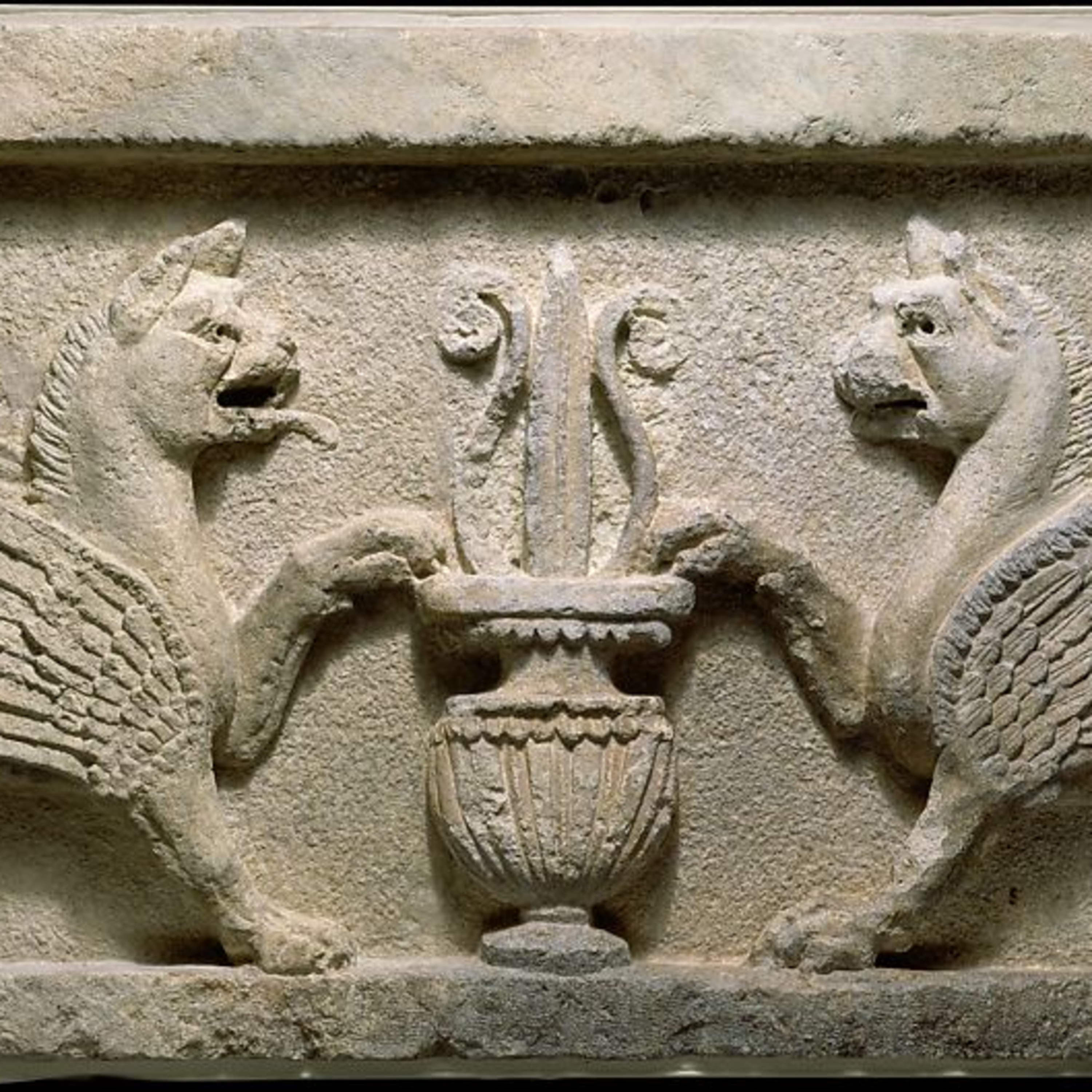 The Study of Antiquity and the Middle Ages