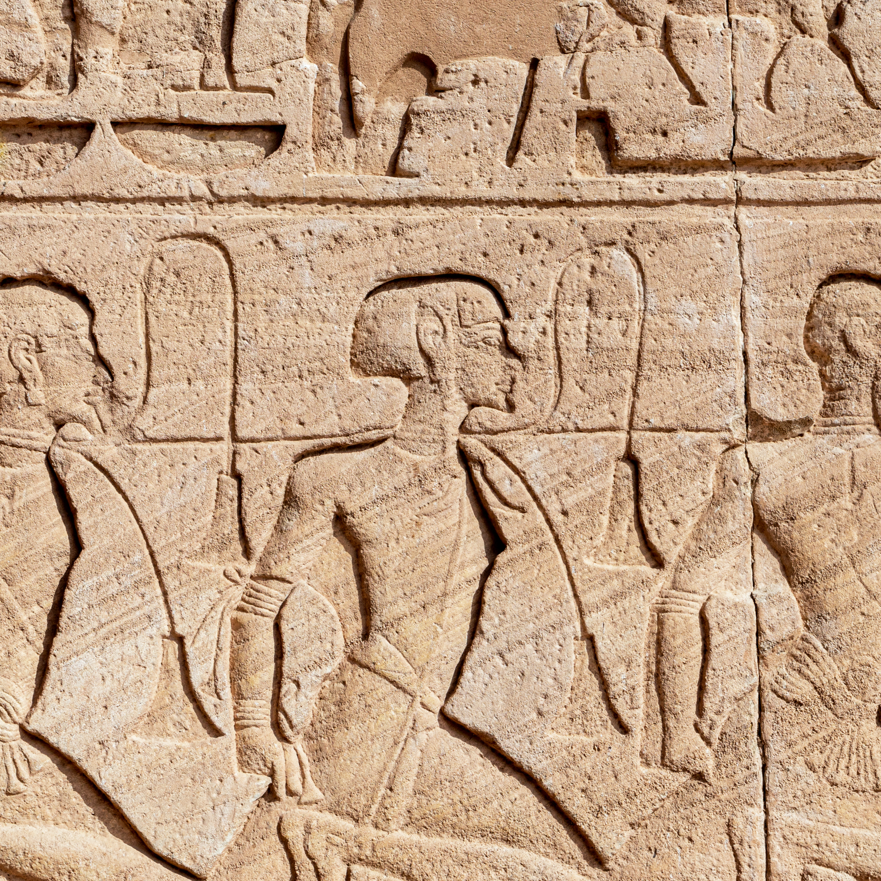 The Study of Antiquity and the Middle Ages