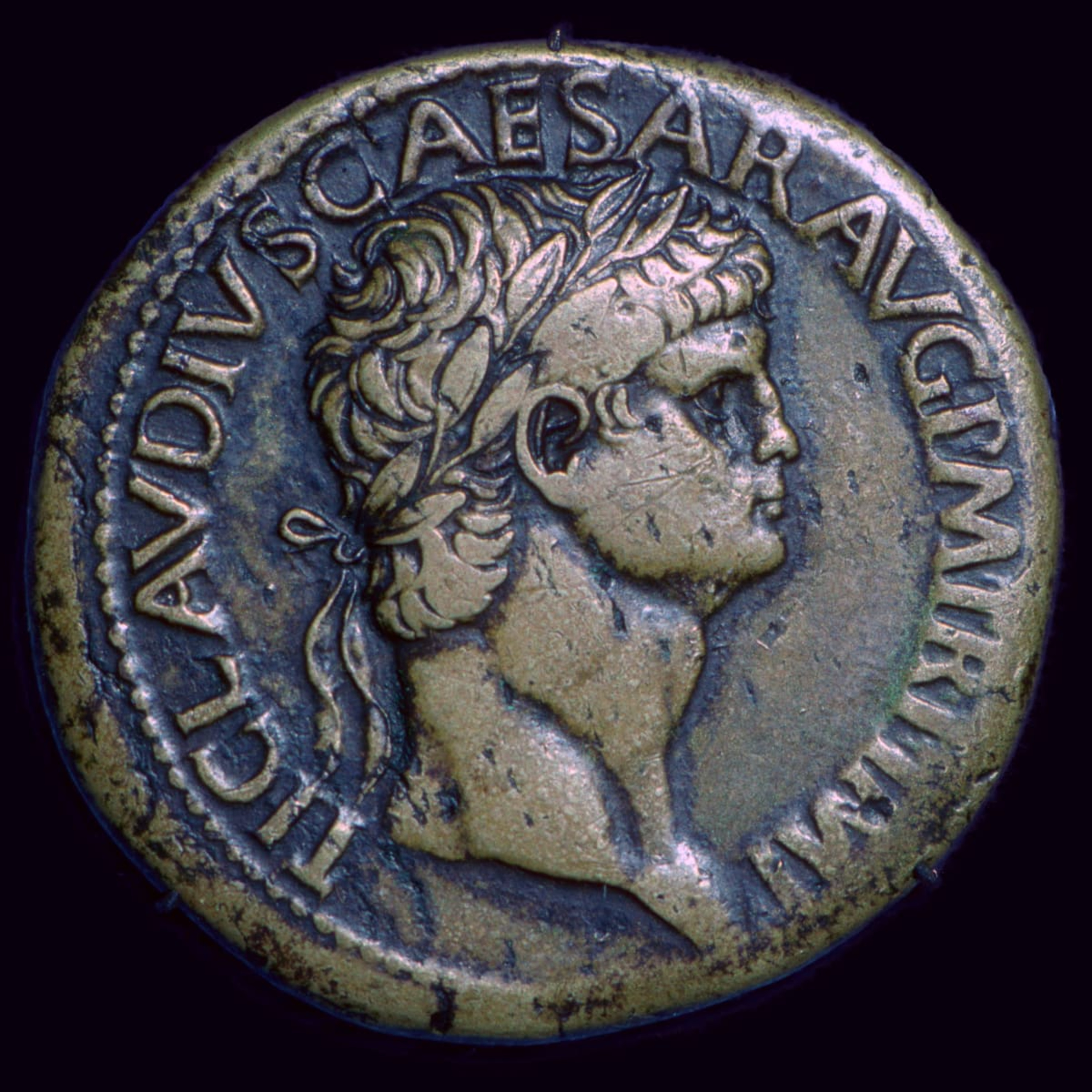 The Study of Antiquity and the Middle Ages