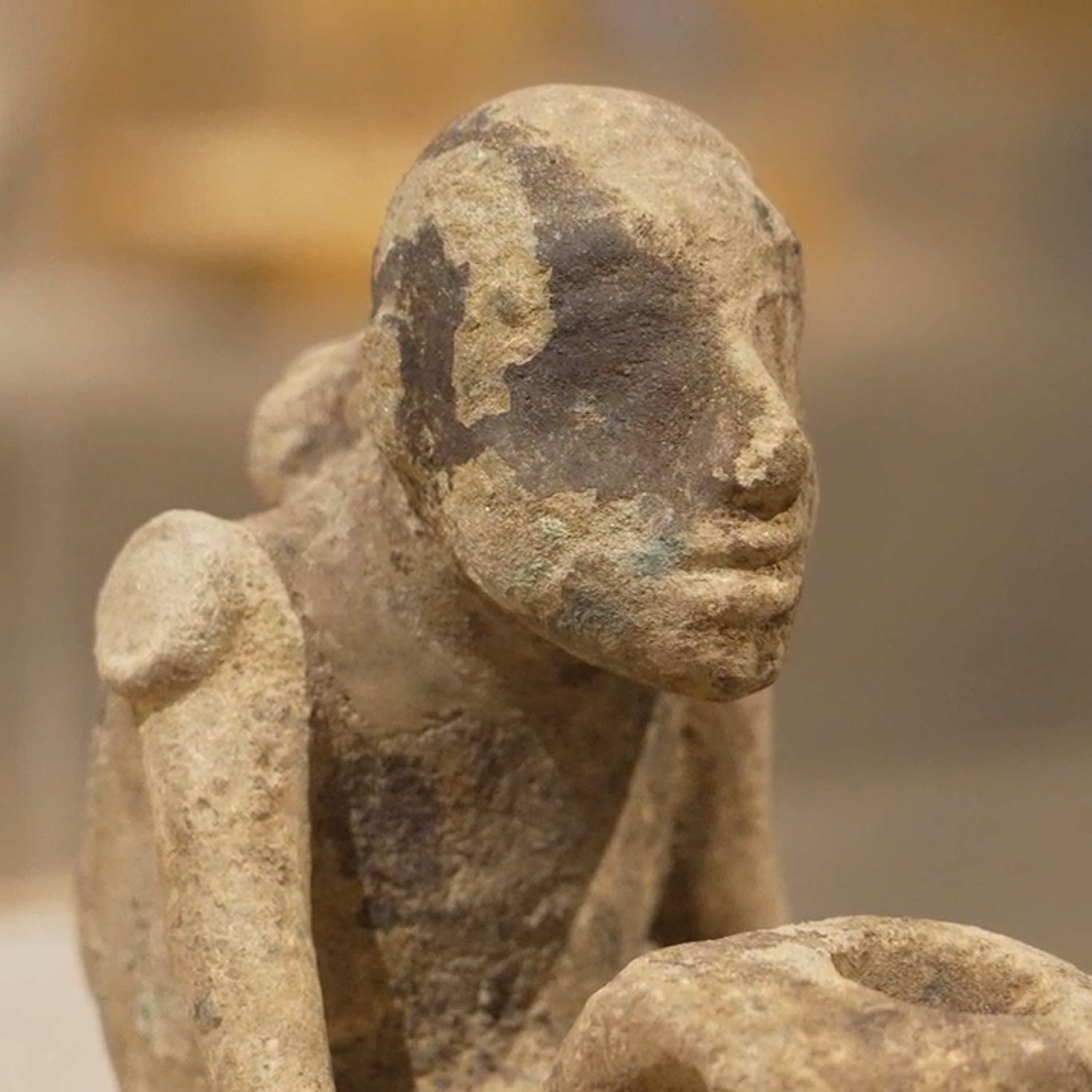 The Study of Antiquity and the Middle Ages