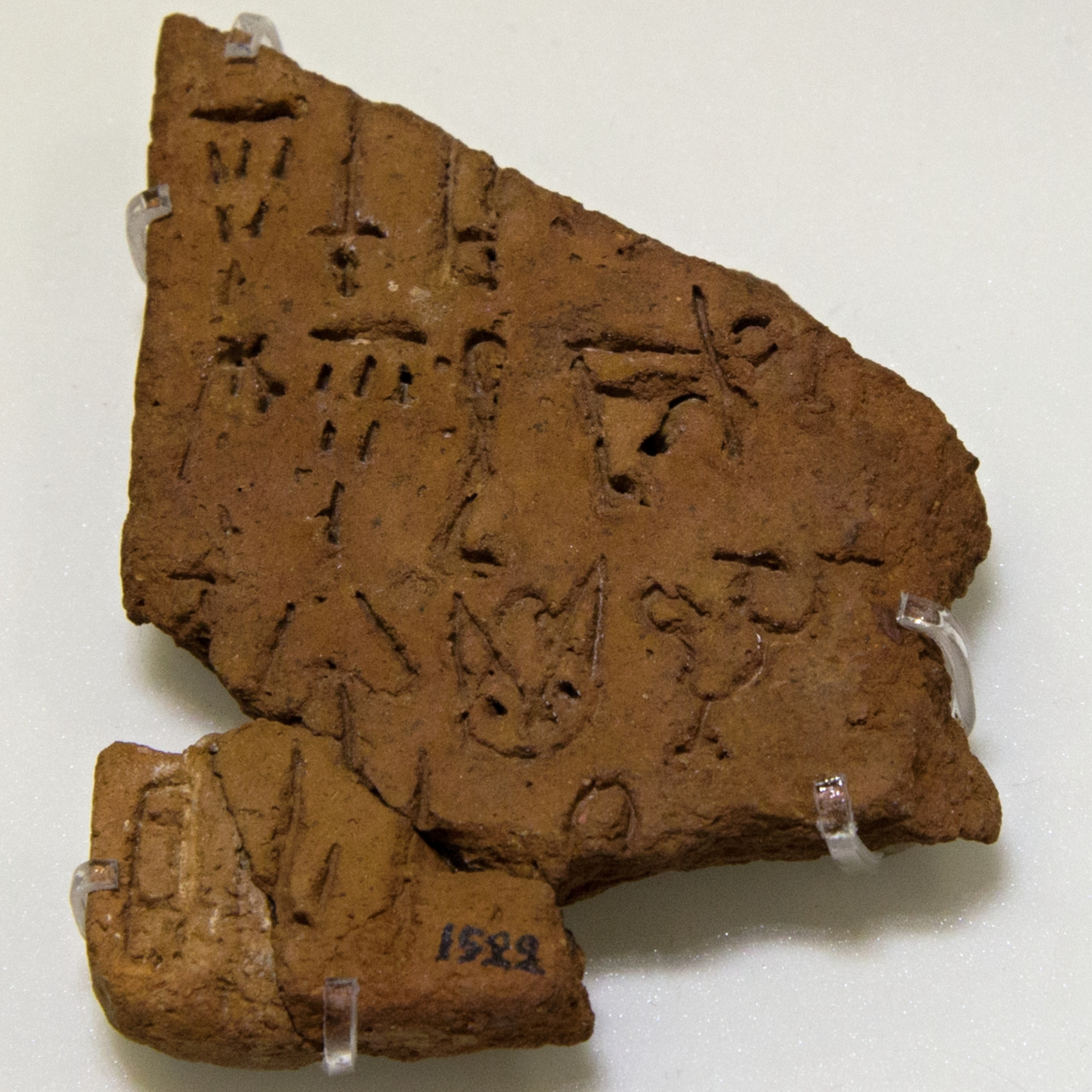 The Study of Antiquity and the Middle Ages