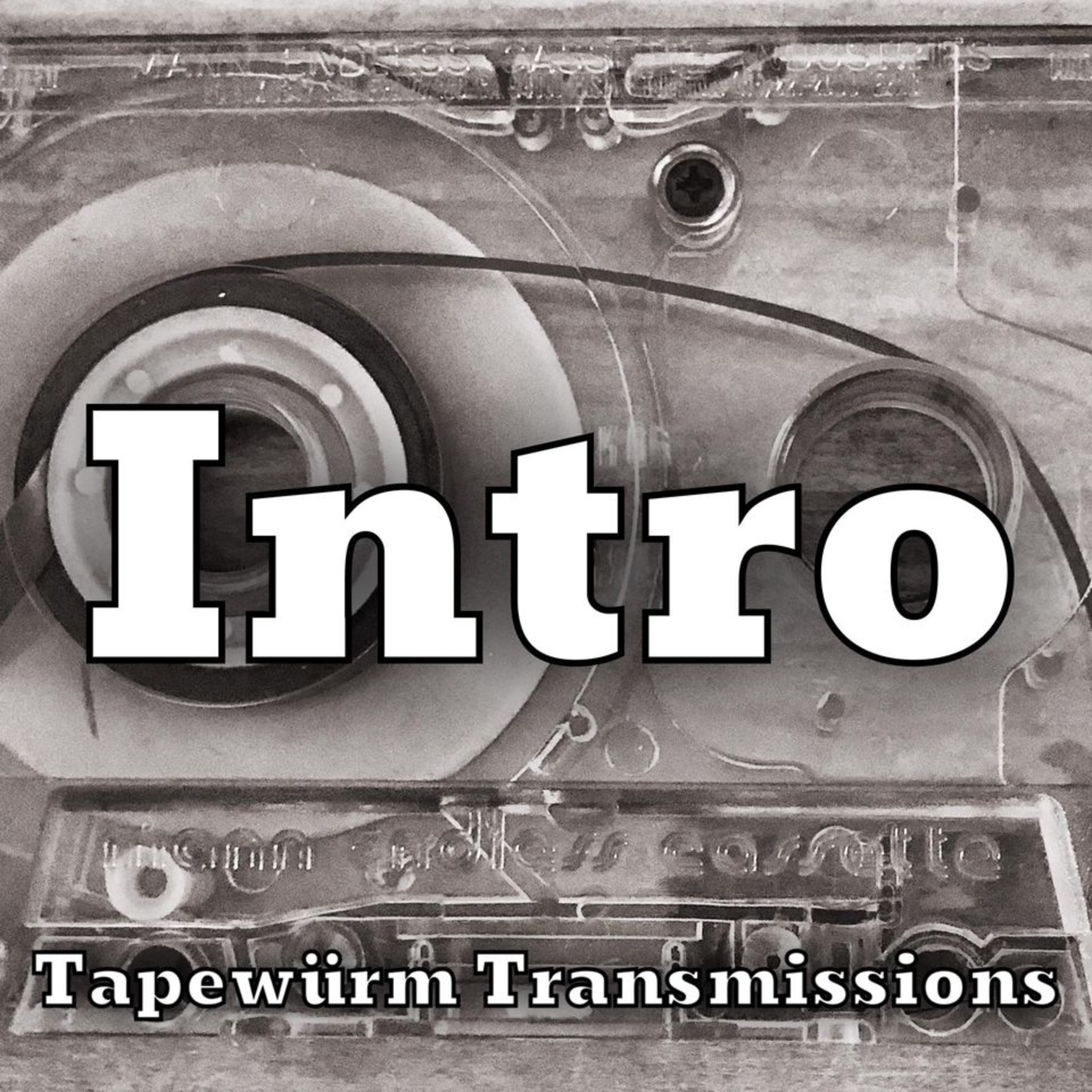 Tapewürm Transmissions