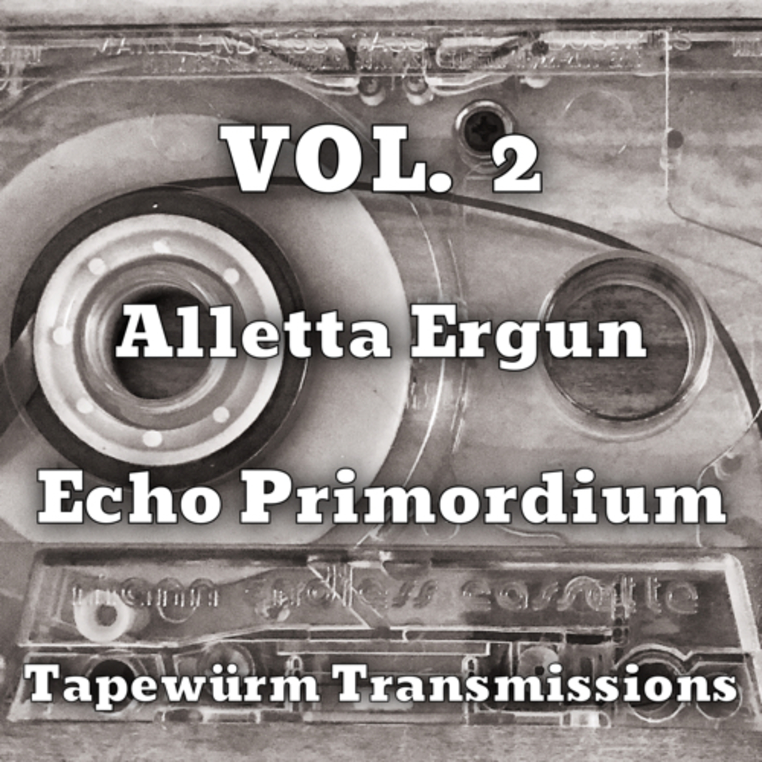 Tapewürm Transmissions