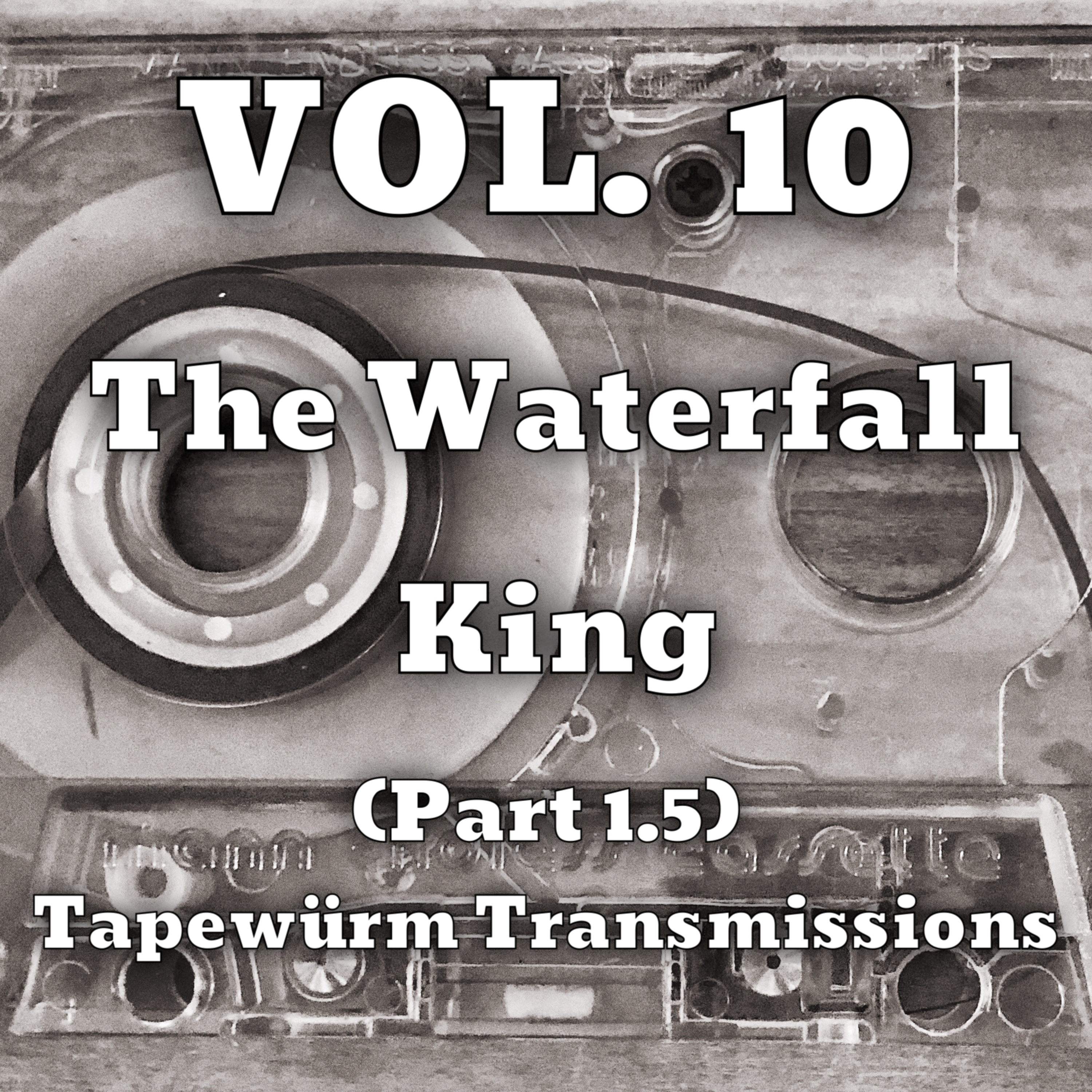 Tapewürm Transmissions