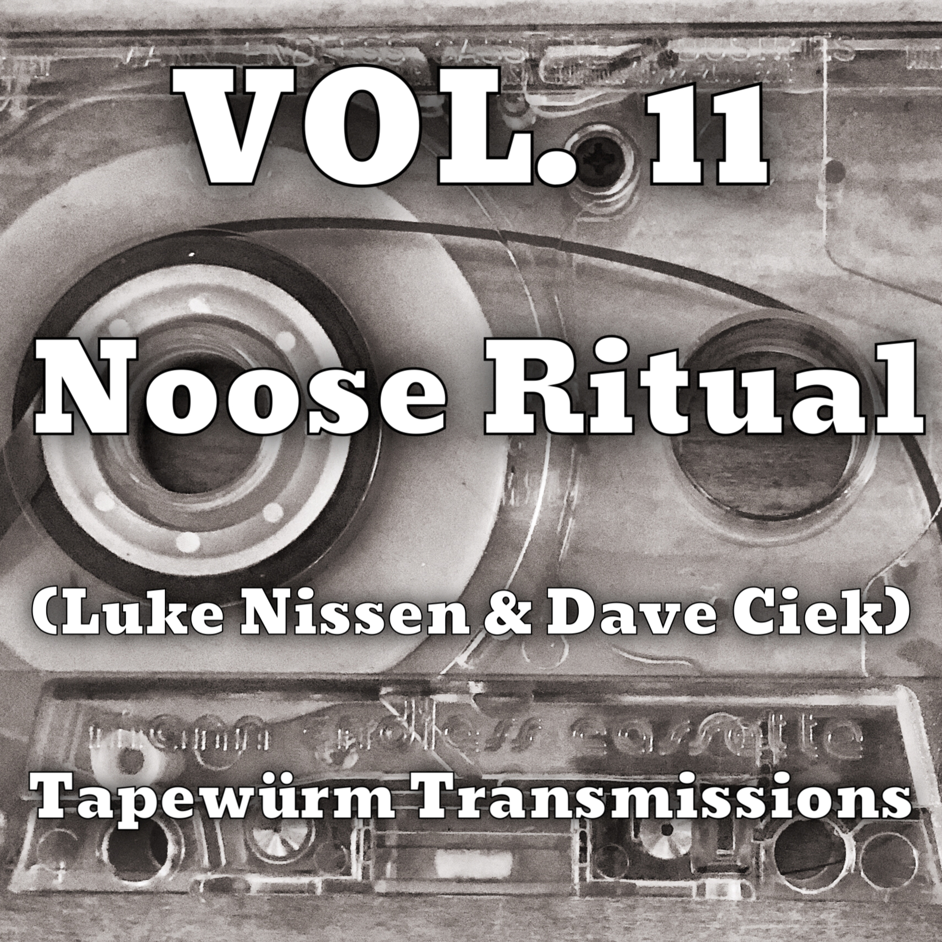 Tapewürm Transmissions