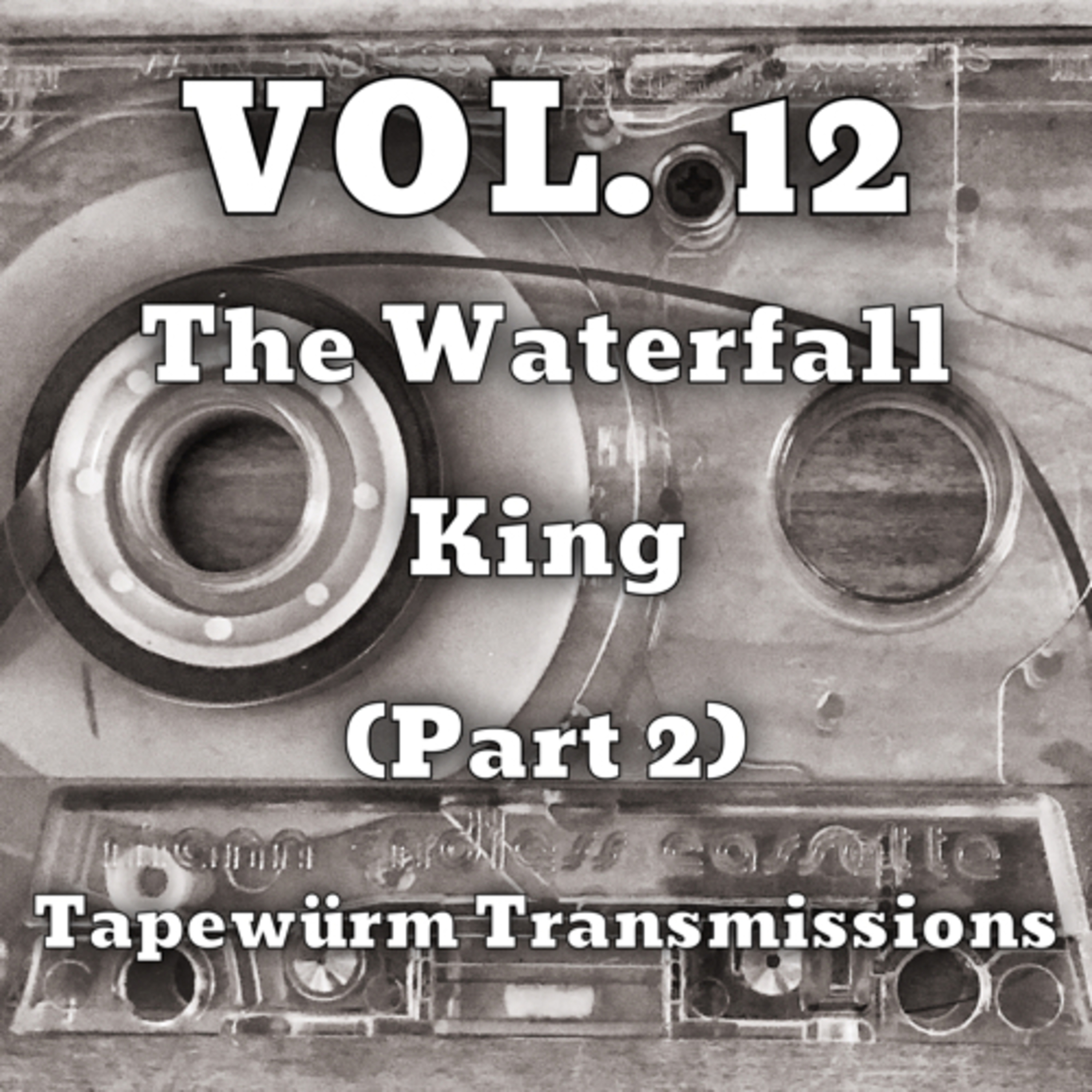 Tapewürm Transmissions