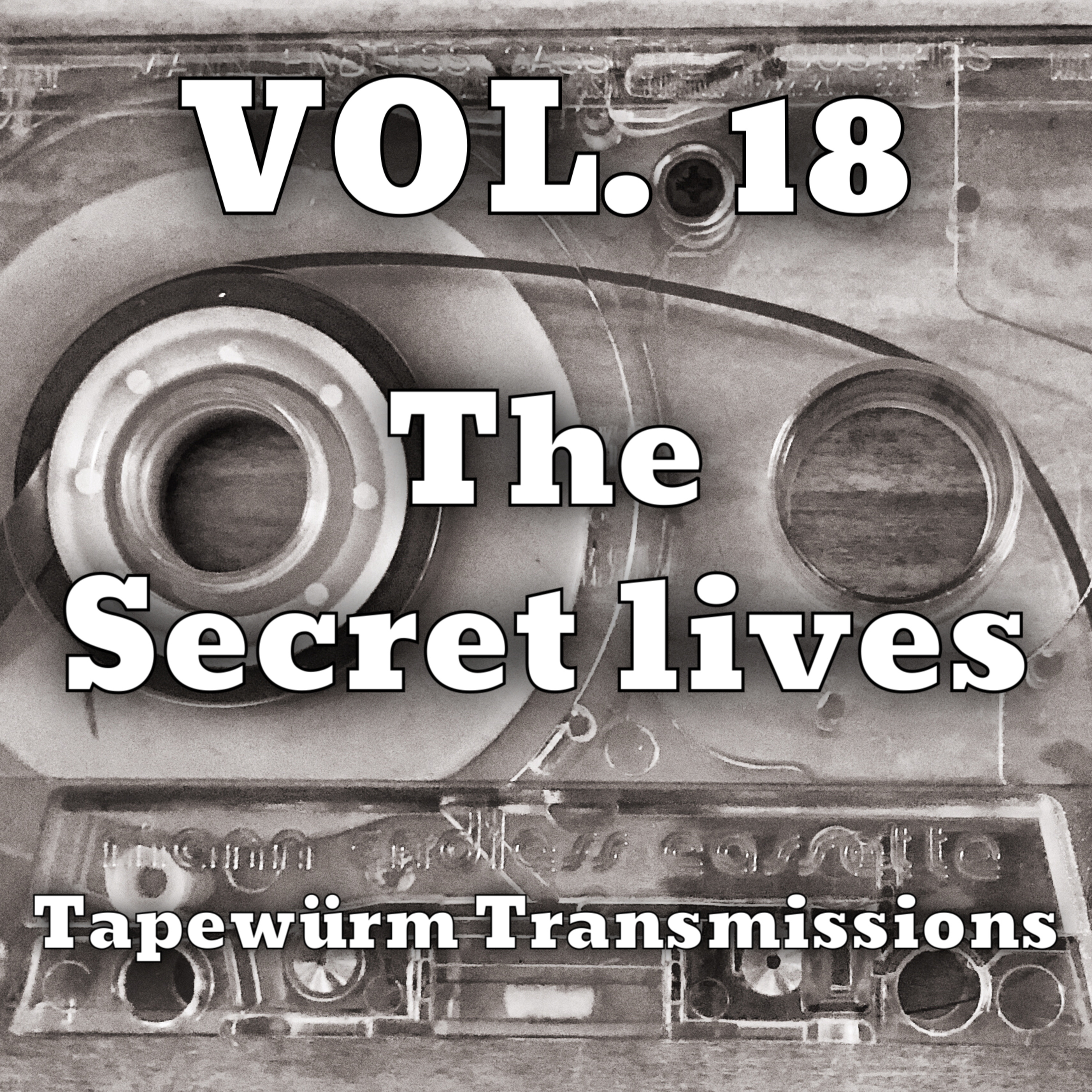 Tapewürm Transmissions