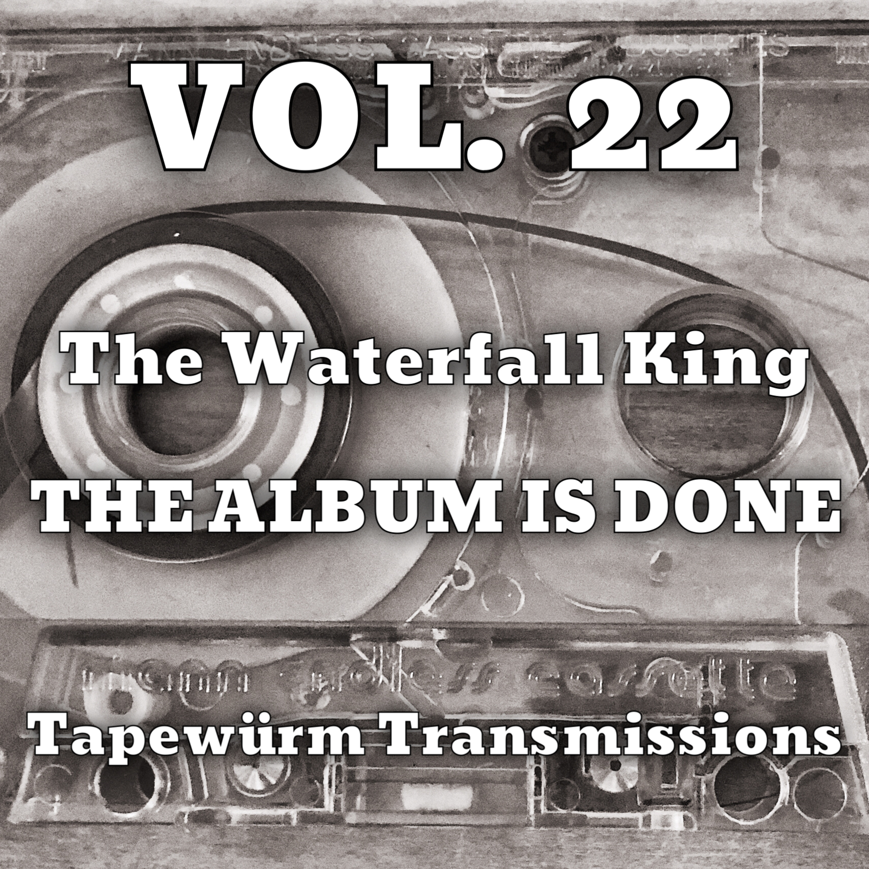 Tapewürm Transmissions