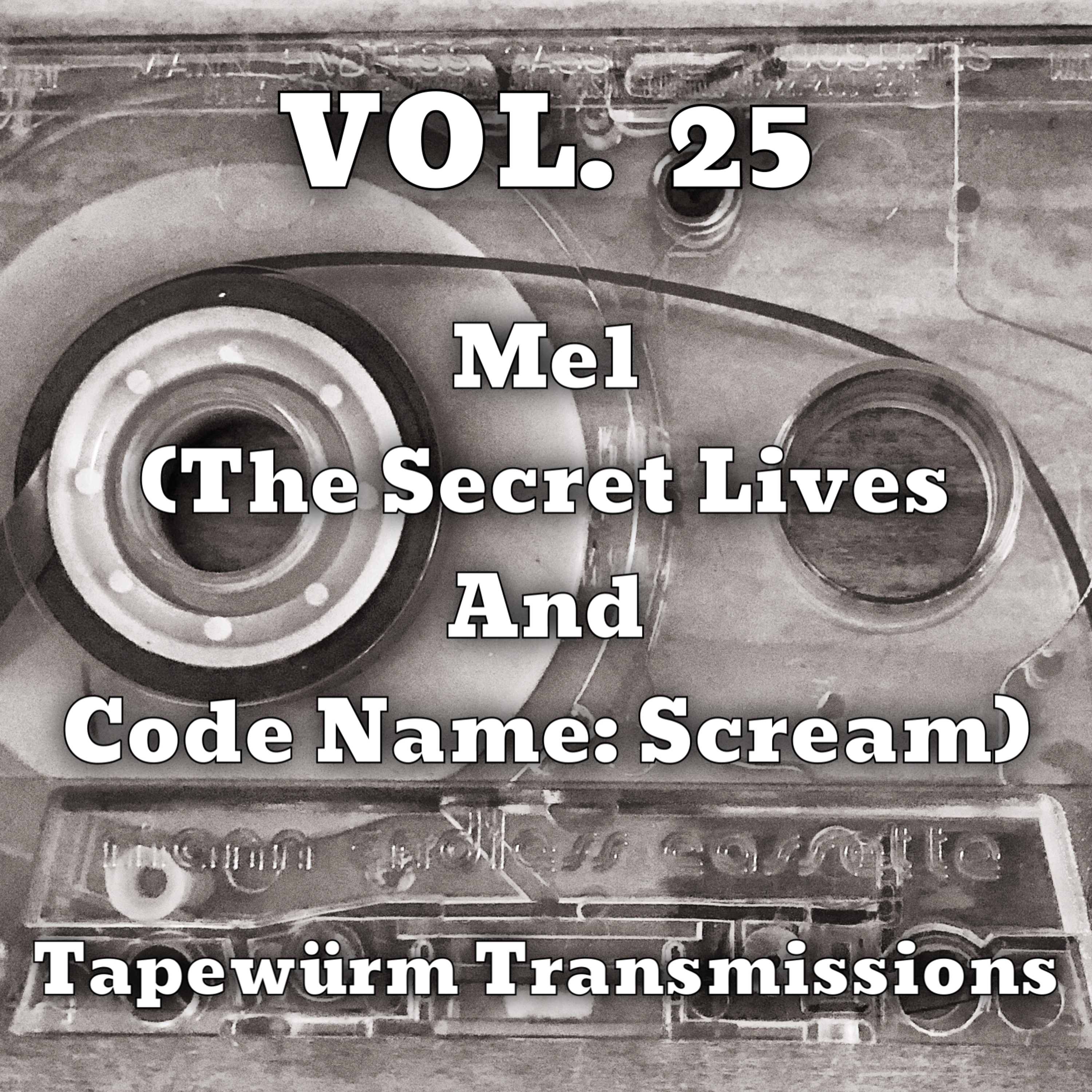 Tapewürm Transmissions