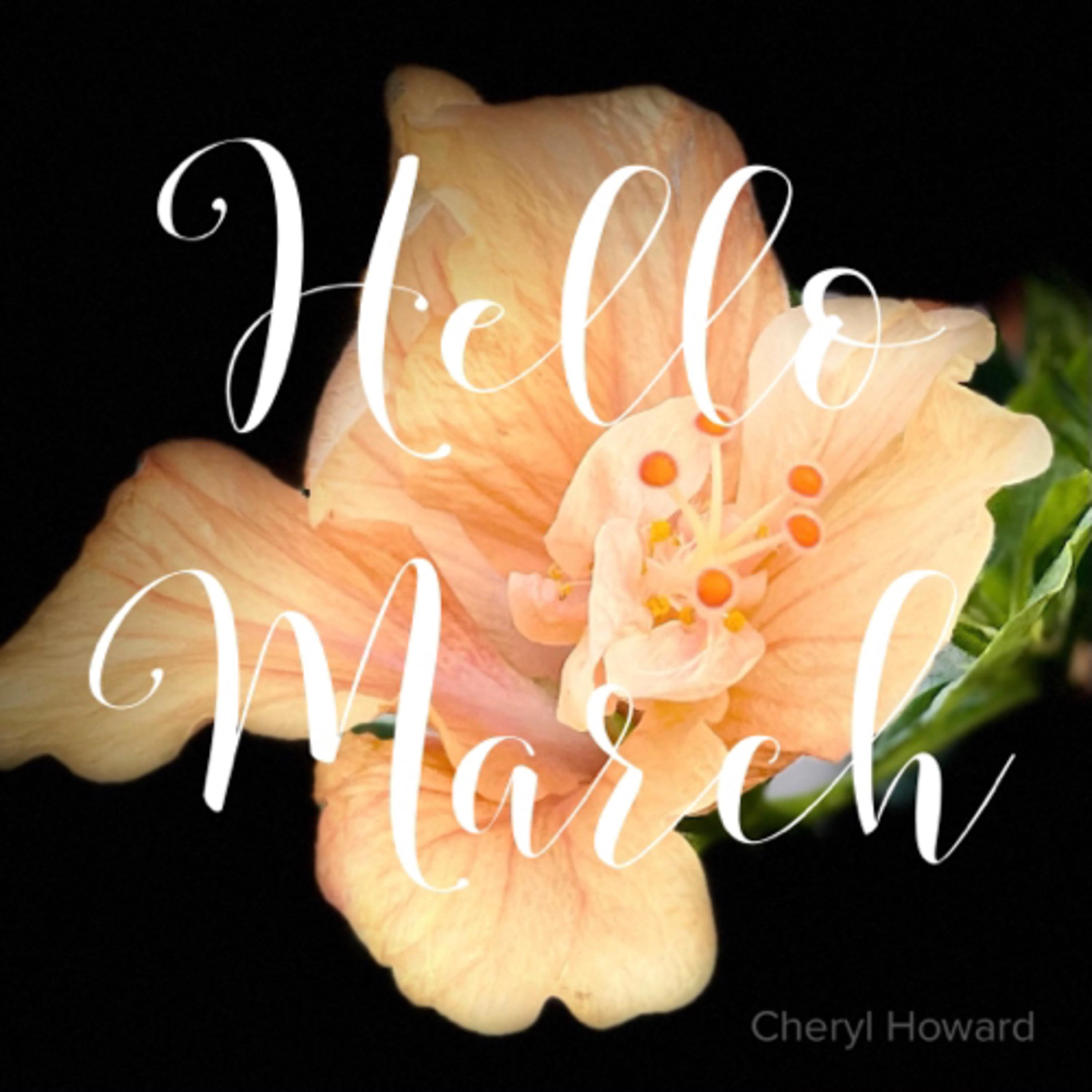 Hello March!