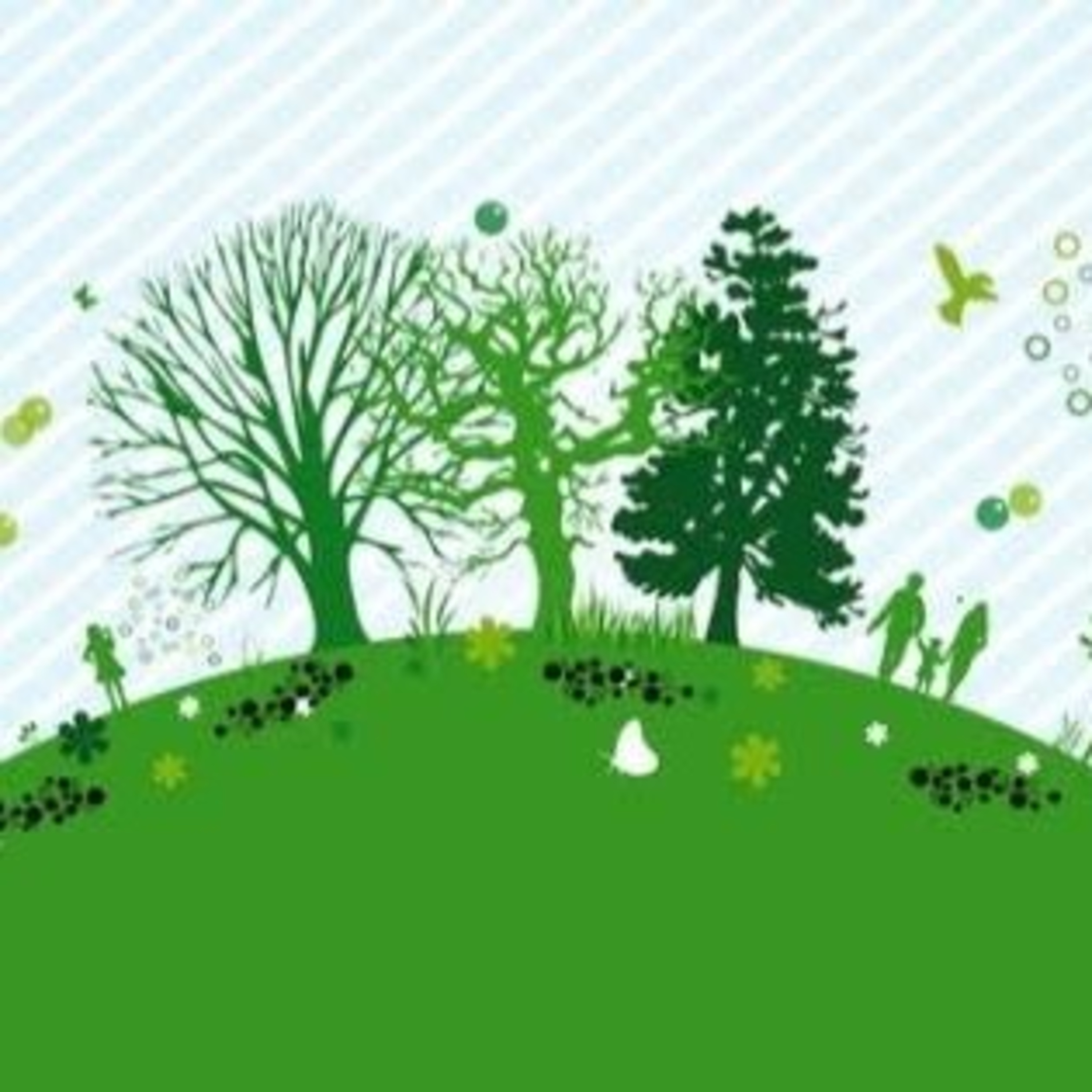 Ecológico  episode artwork