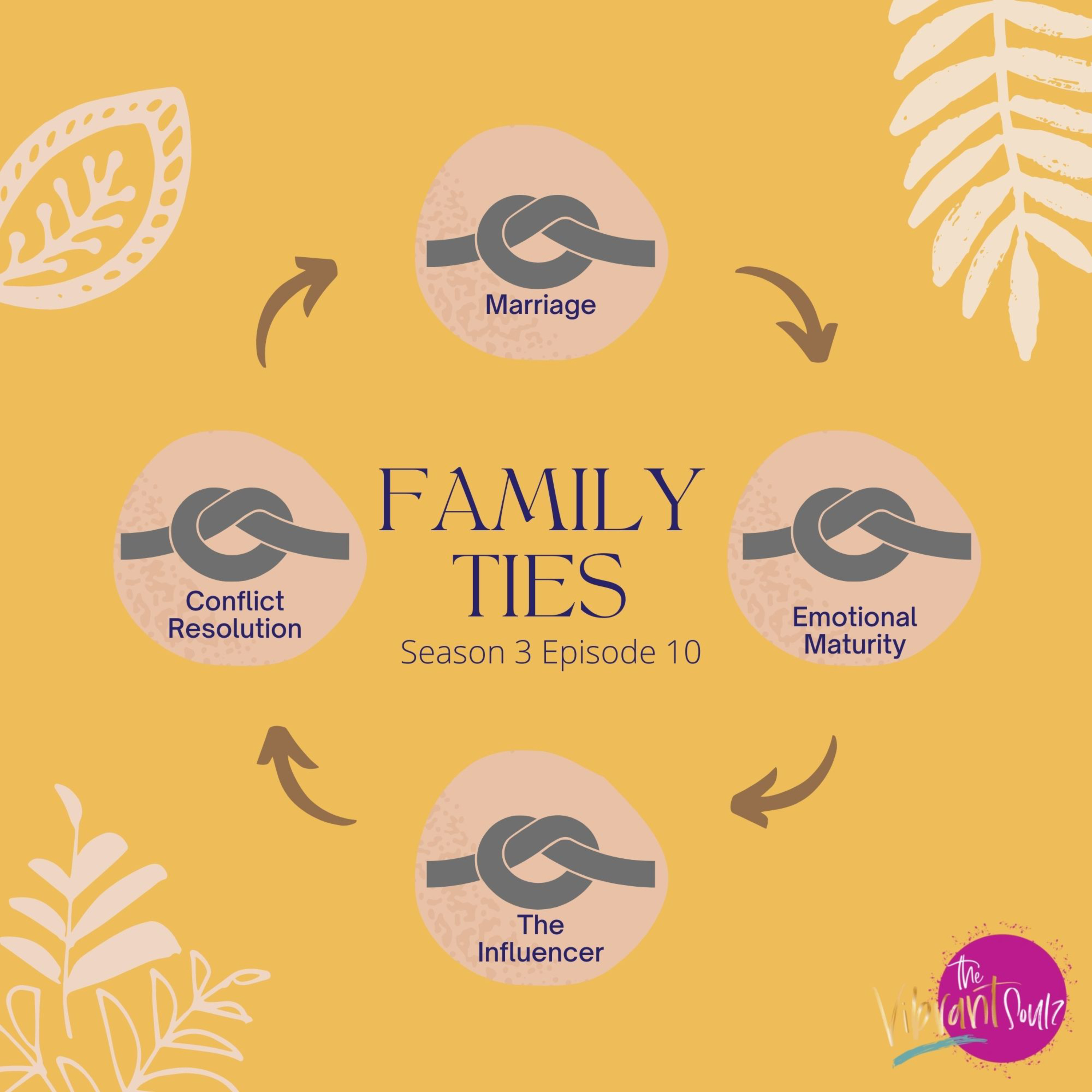 Family Ties episode artwork