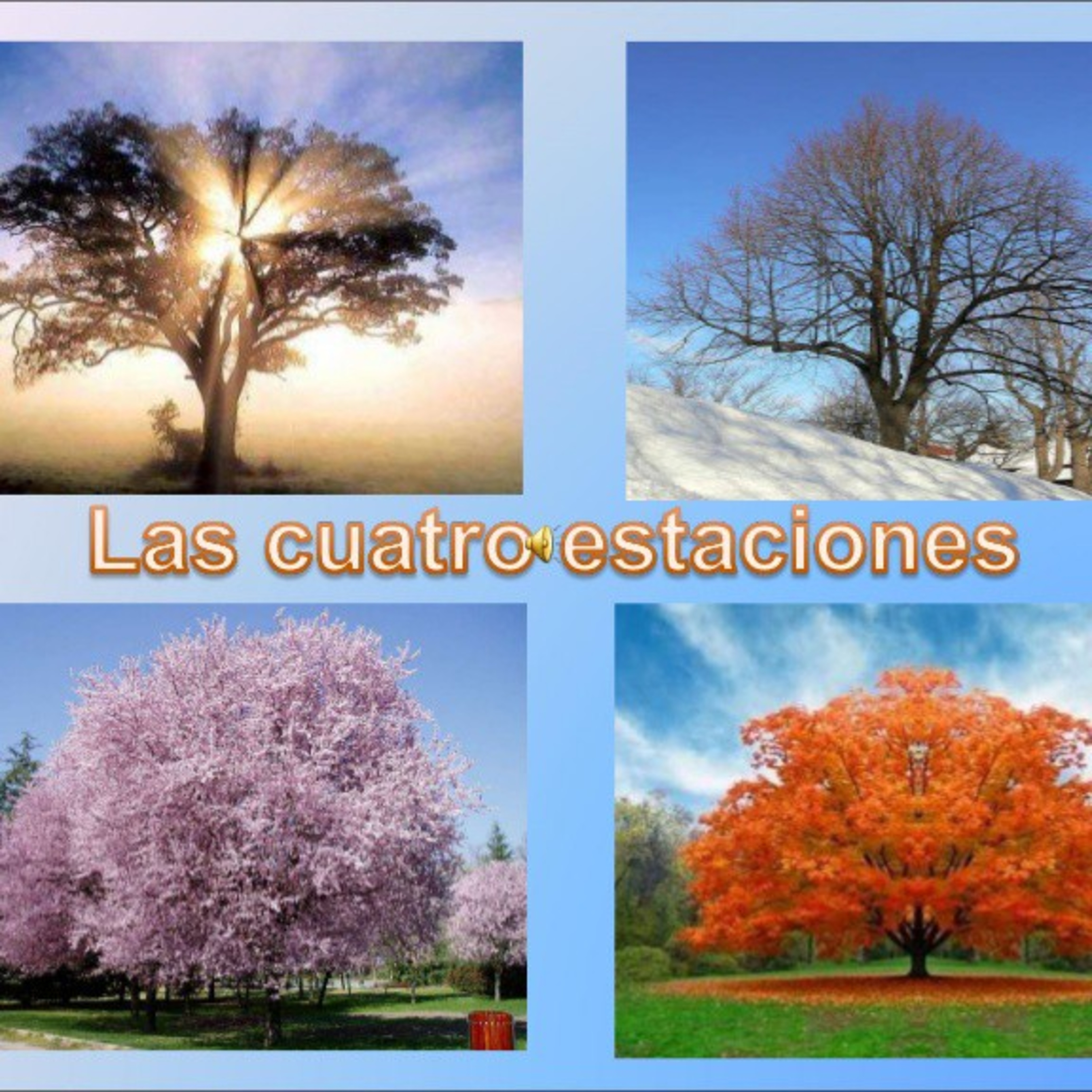 Sentimientos Escondidos