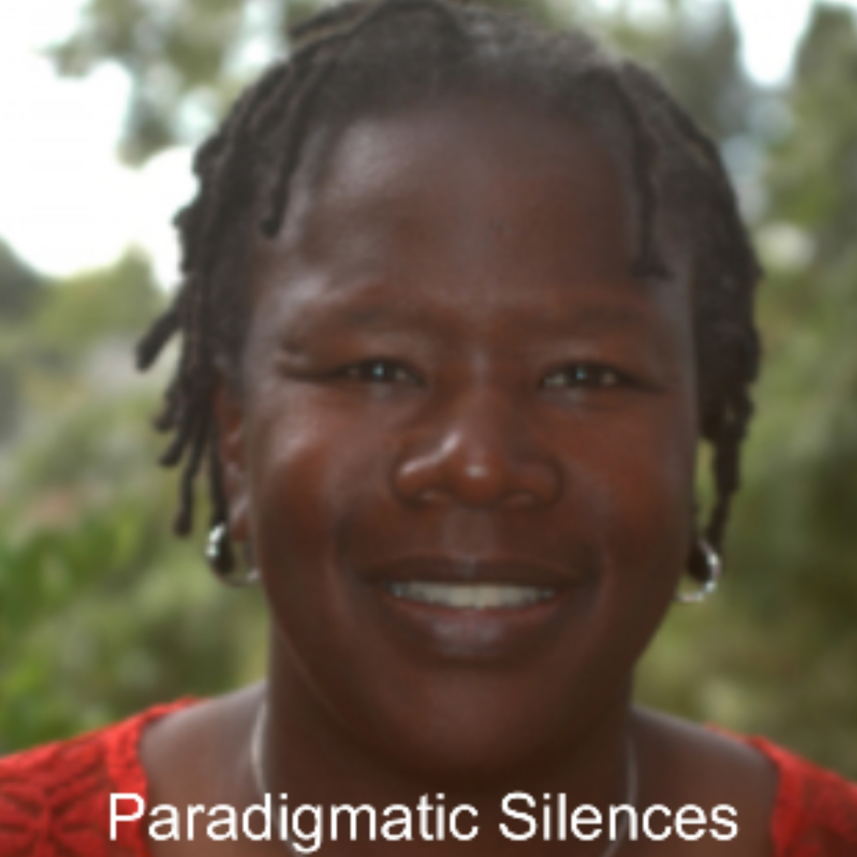 Paradigmatic Silences