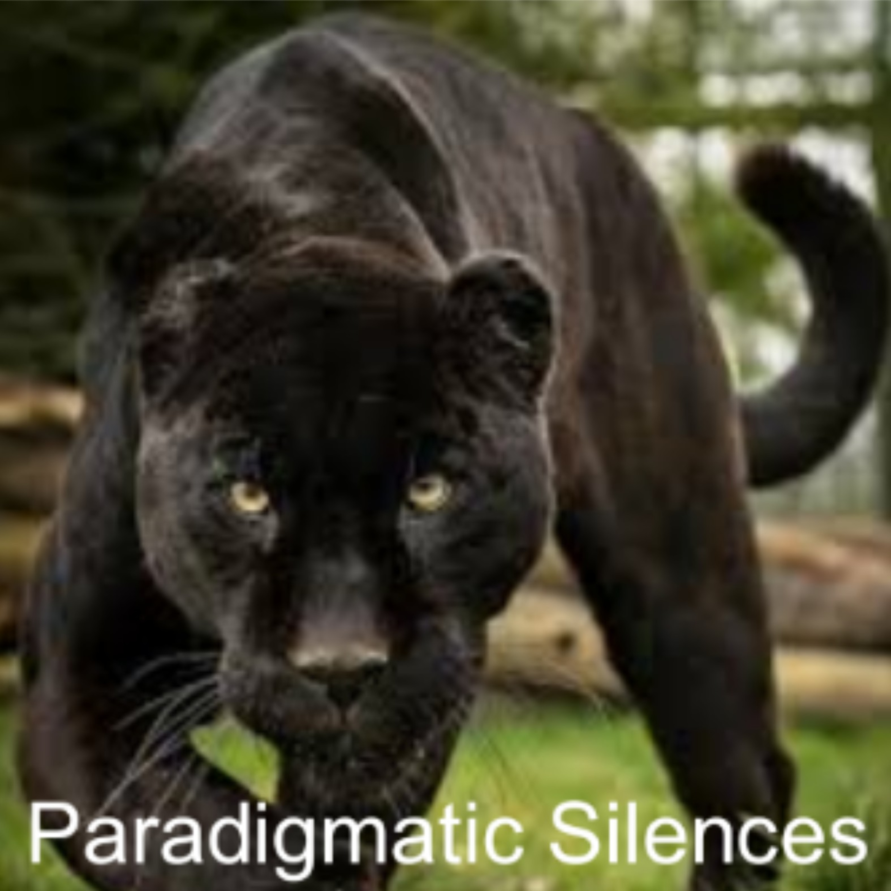 Paradigmatic Silences